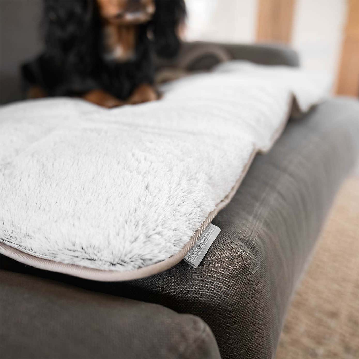 Lords and Labradors Pet Roll and Go