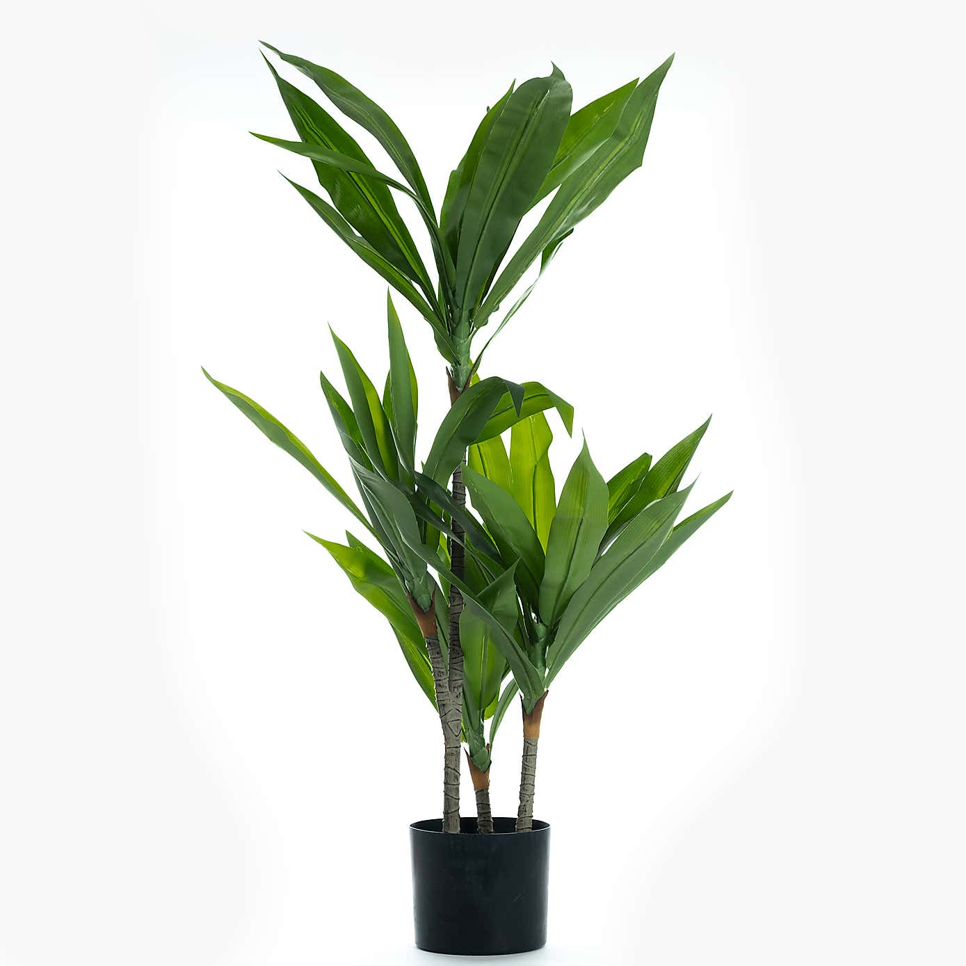 Artificial Real Touch Dracaena Tree in Black Plant Pot