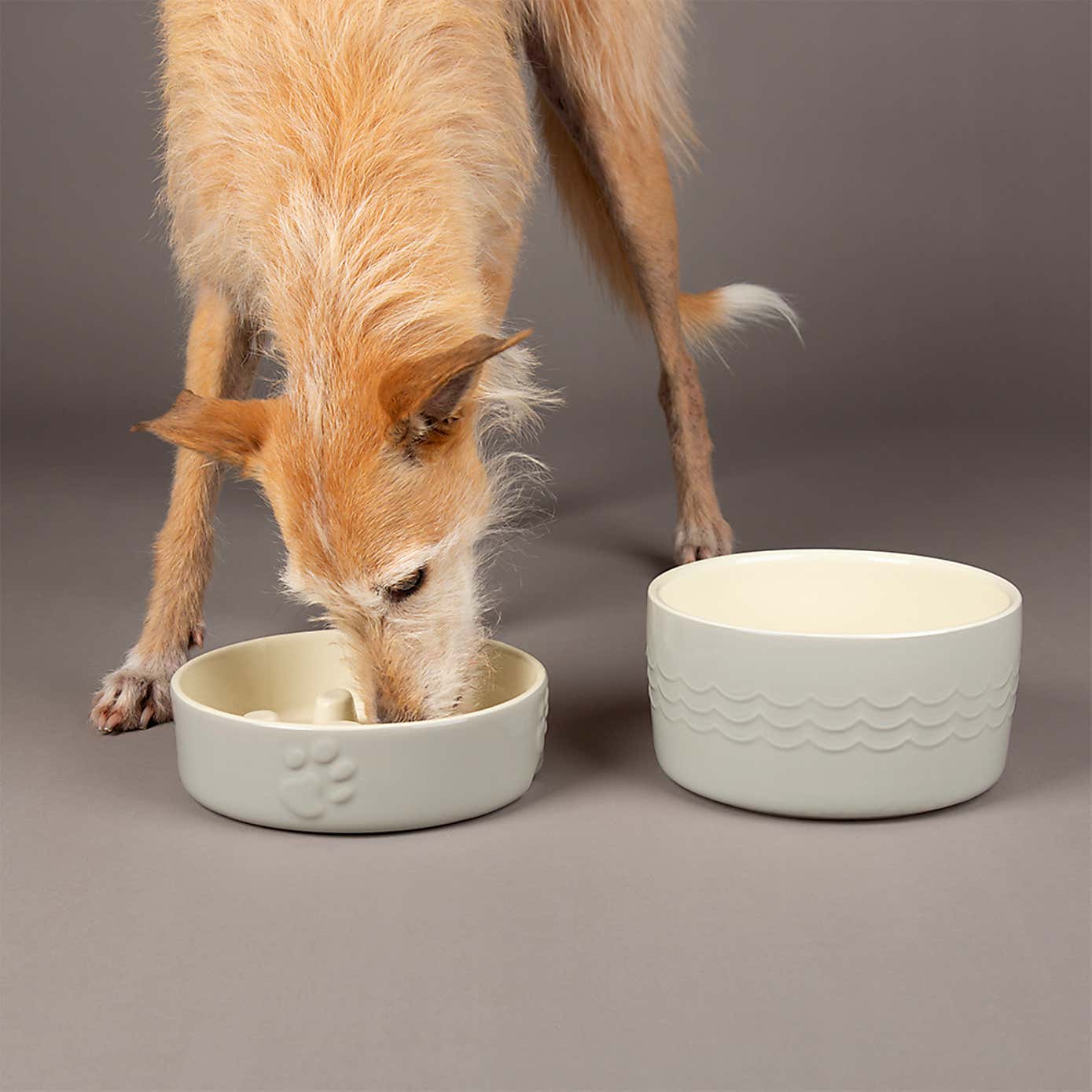 Scruffs Icon Slow Feeder and Drink Bowl Set