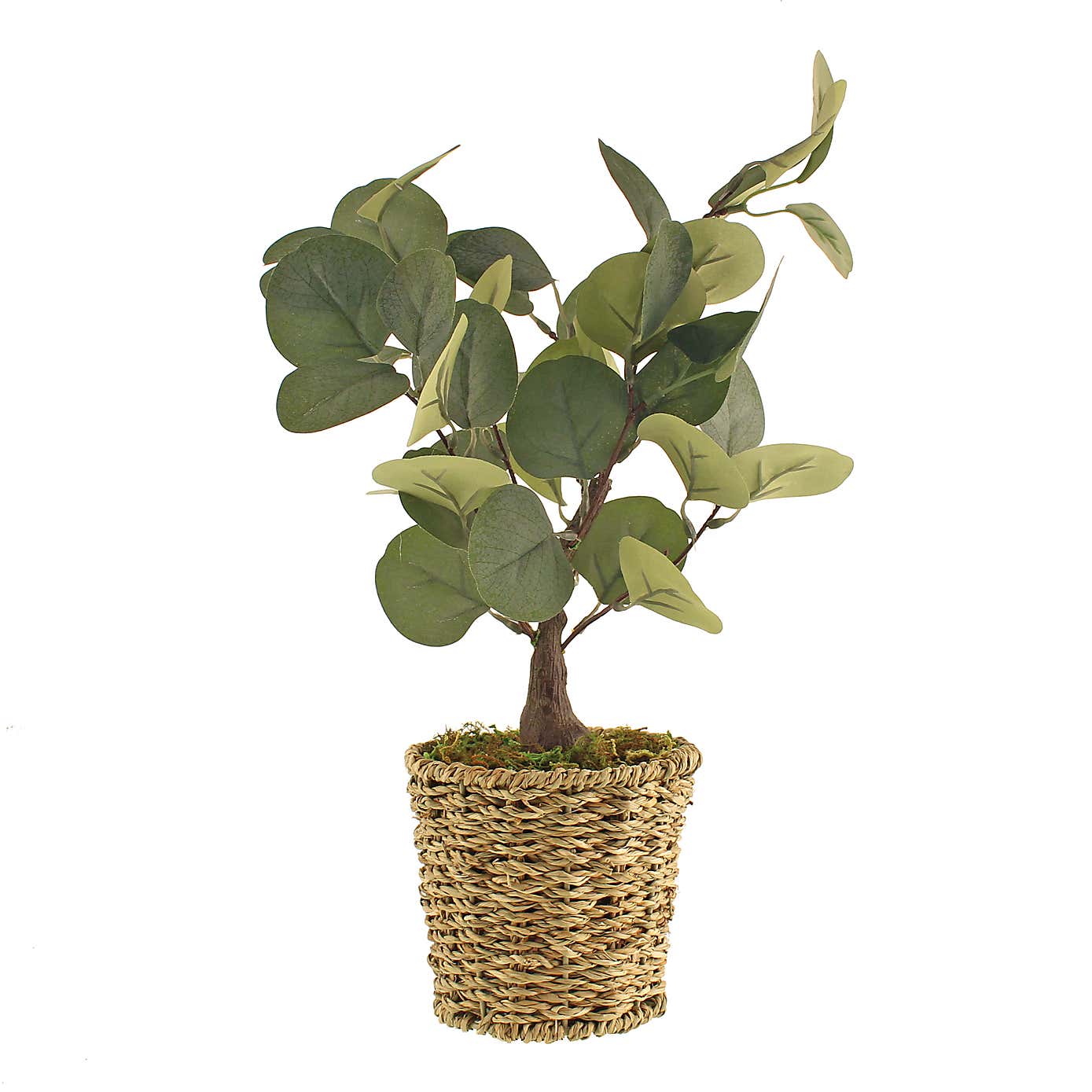 Artificial Small Eucalyptus Tree in Woven Plant Pot