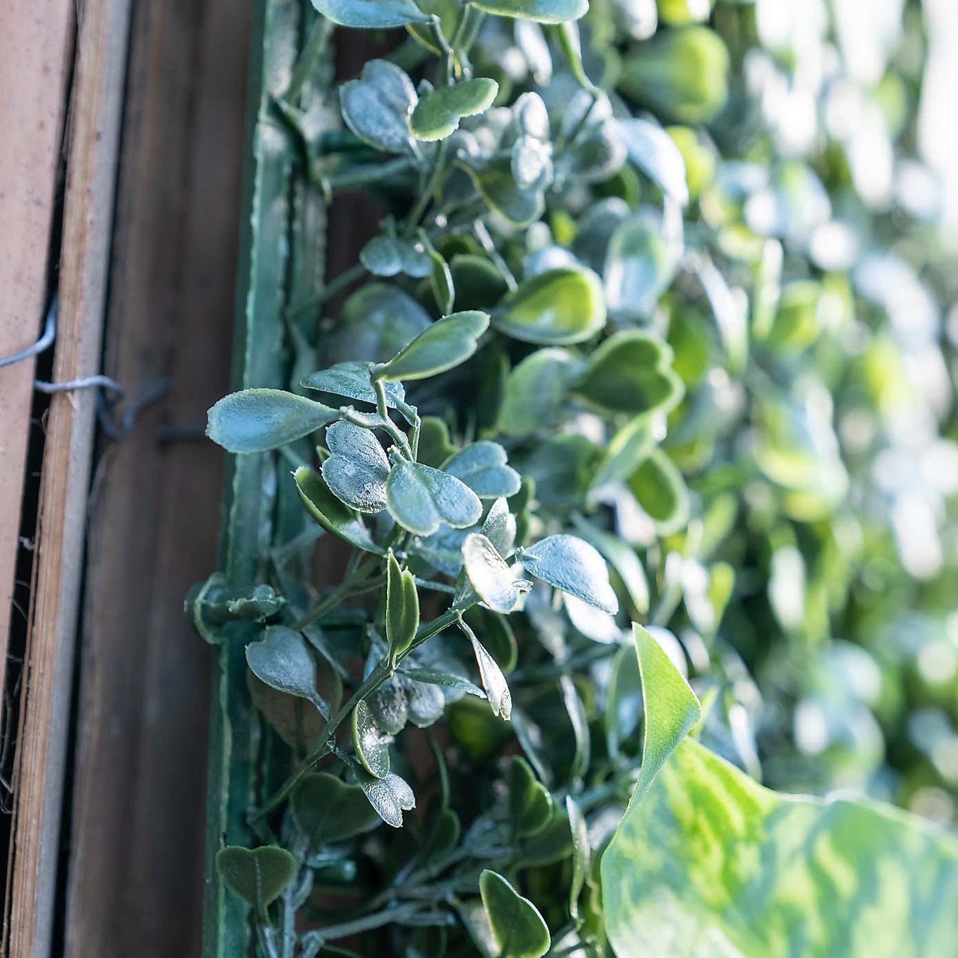 Artificial Mixed Foliage Living Wall Panel