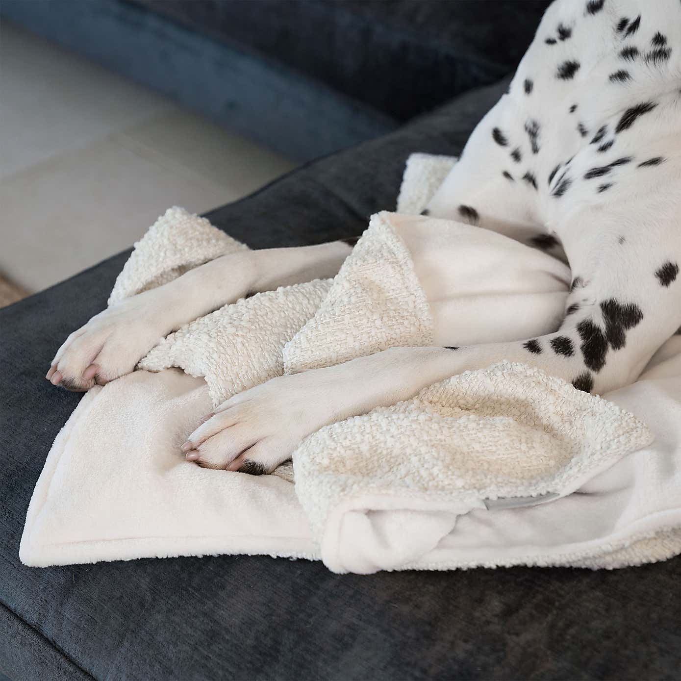 Lords and Labradors Boucle Dog Blanket