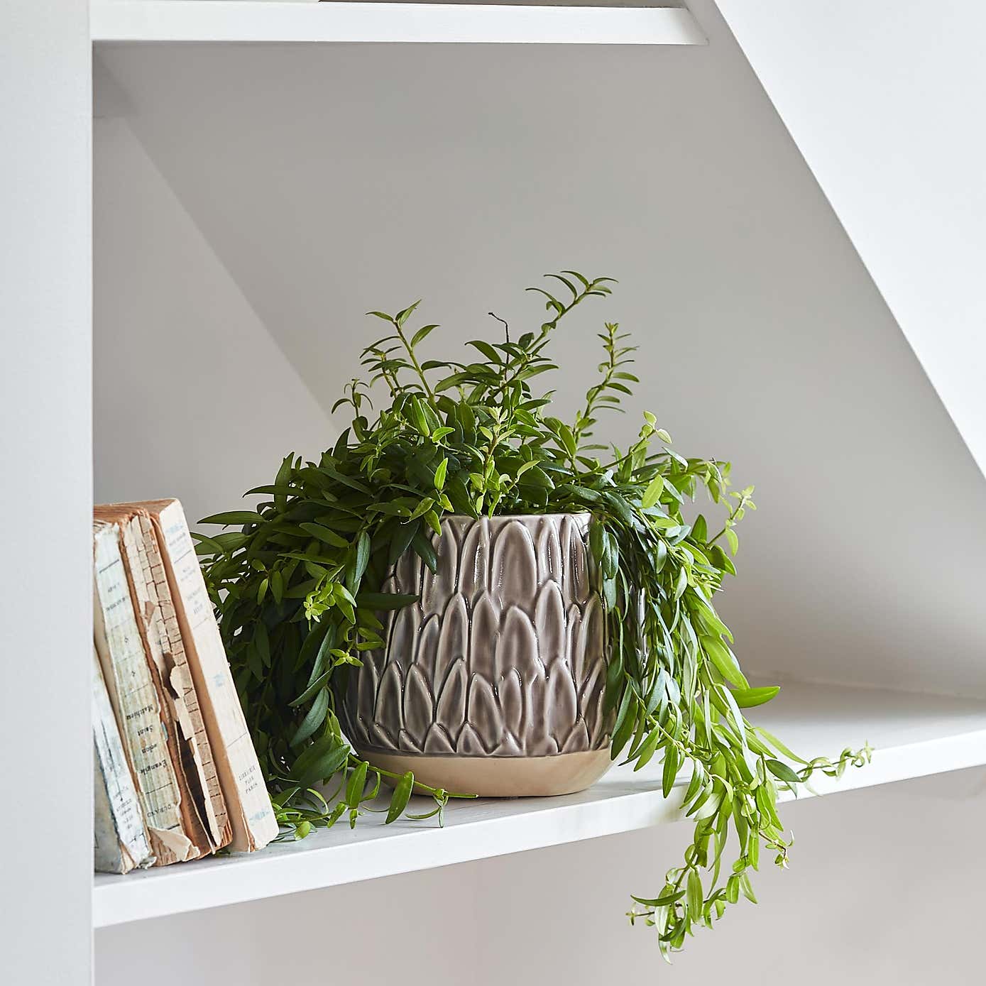 Arles Leaf Embossed Planter