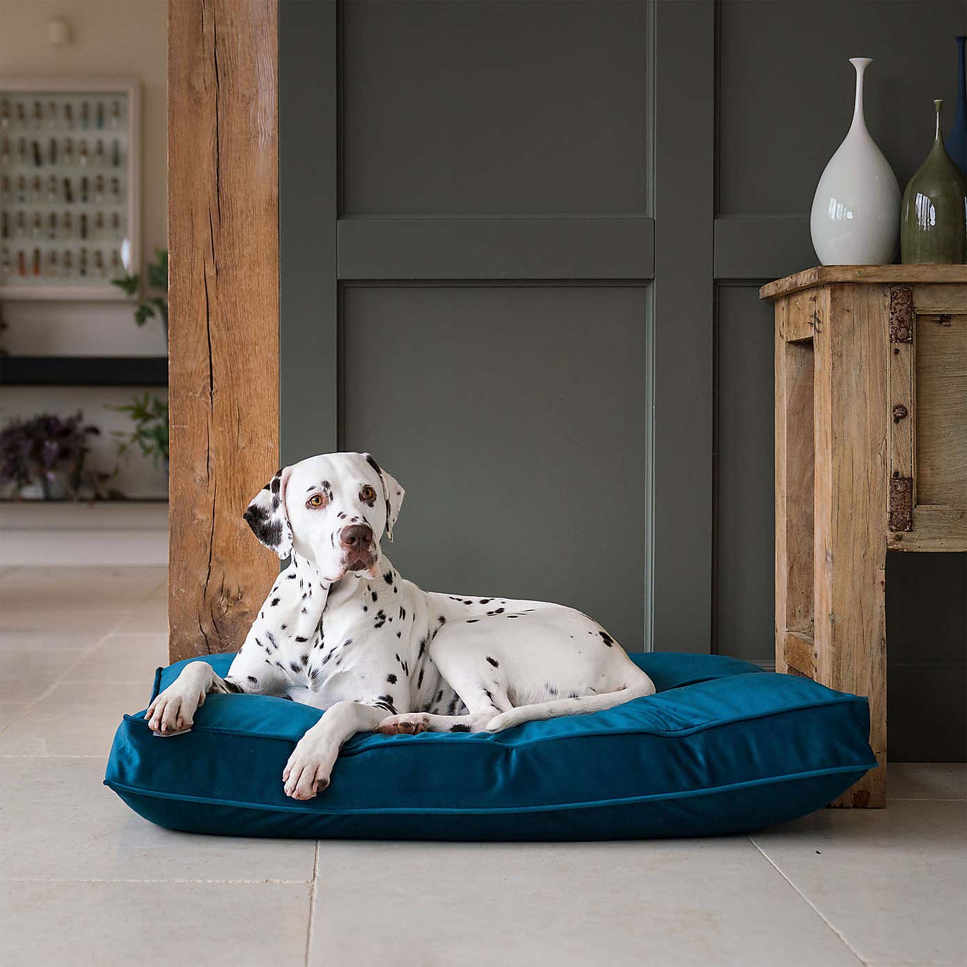 Lords and Labradors Velvet Dog Cushion