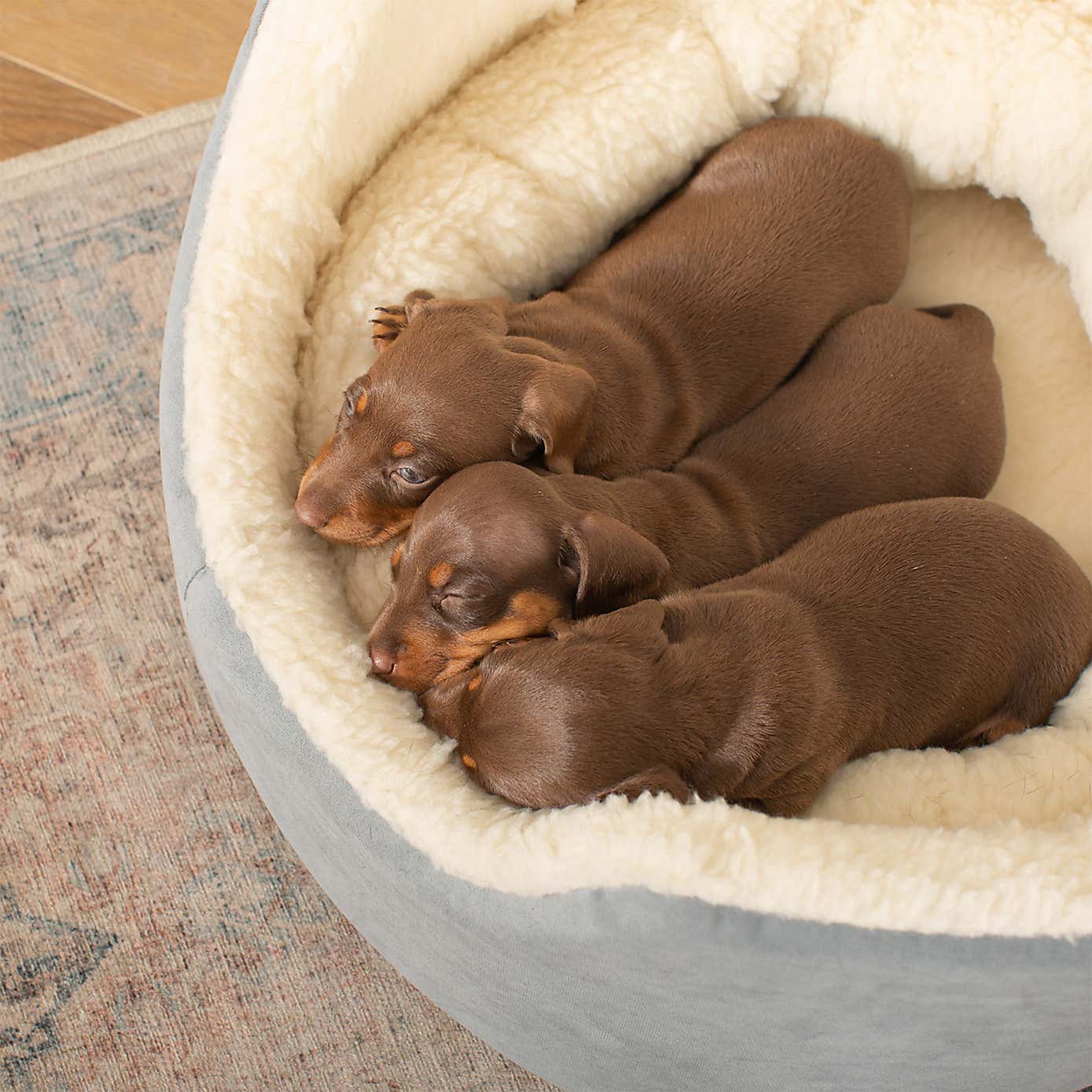 Lords and Labradors Grow With Me Puppy Bed