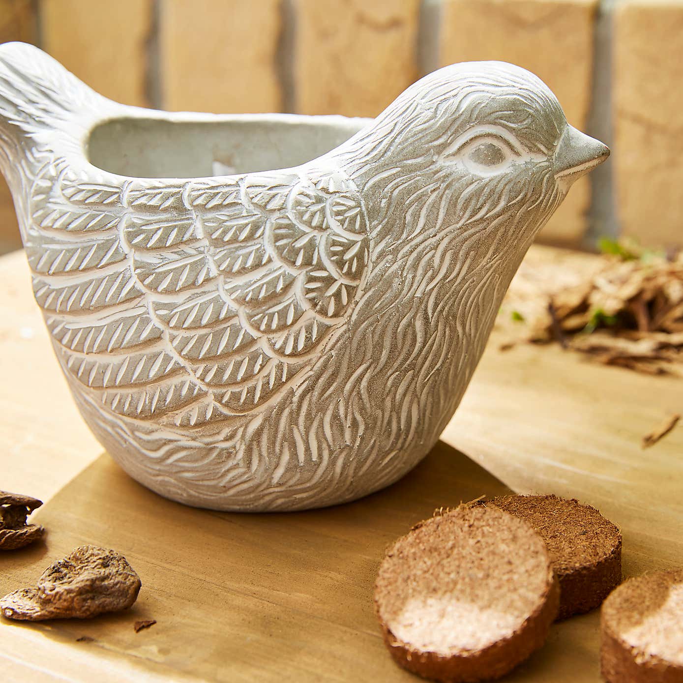 Taylor's Bulbs Stone Robin Planter and Anenone Kit