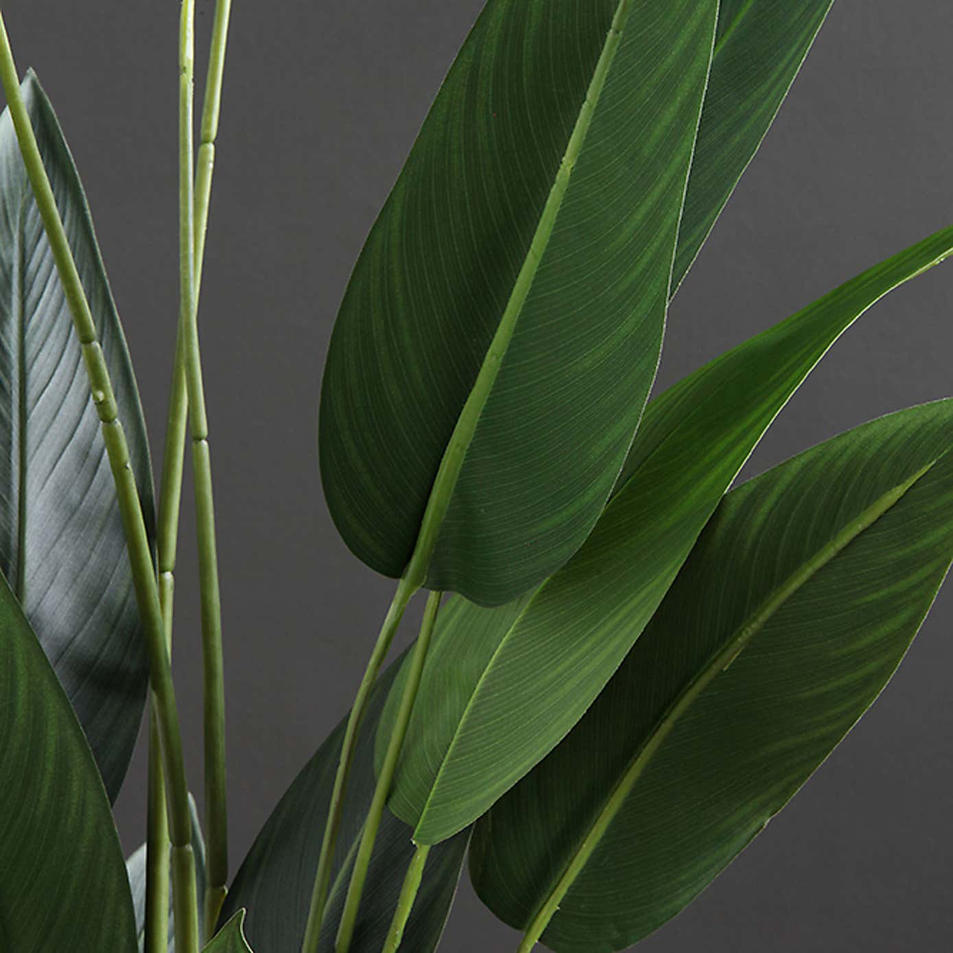 Artificial Bird of Paradise Tree in Black Plant Pot