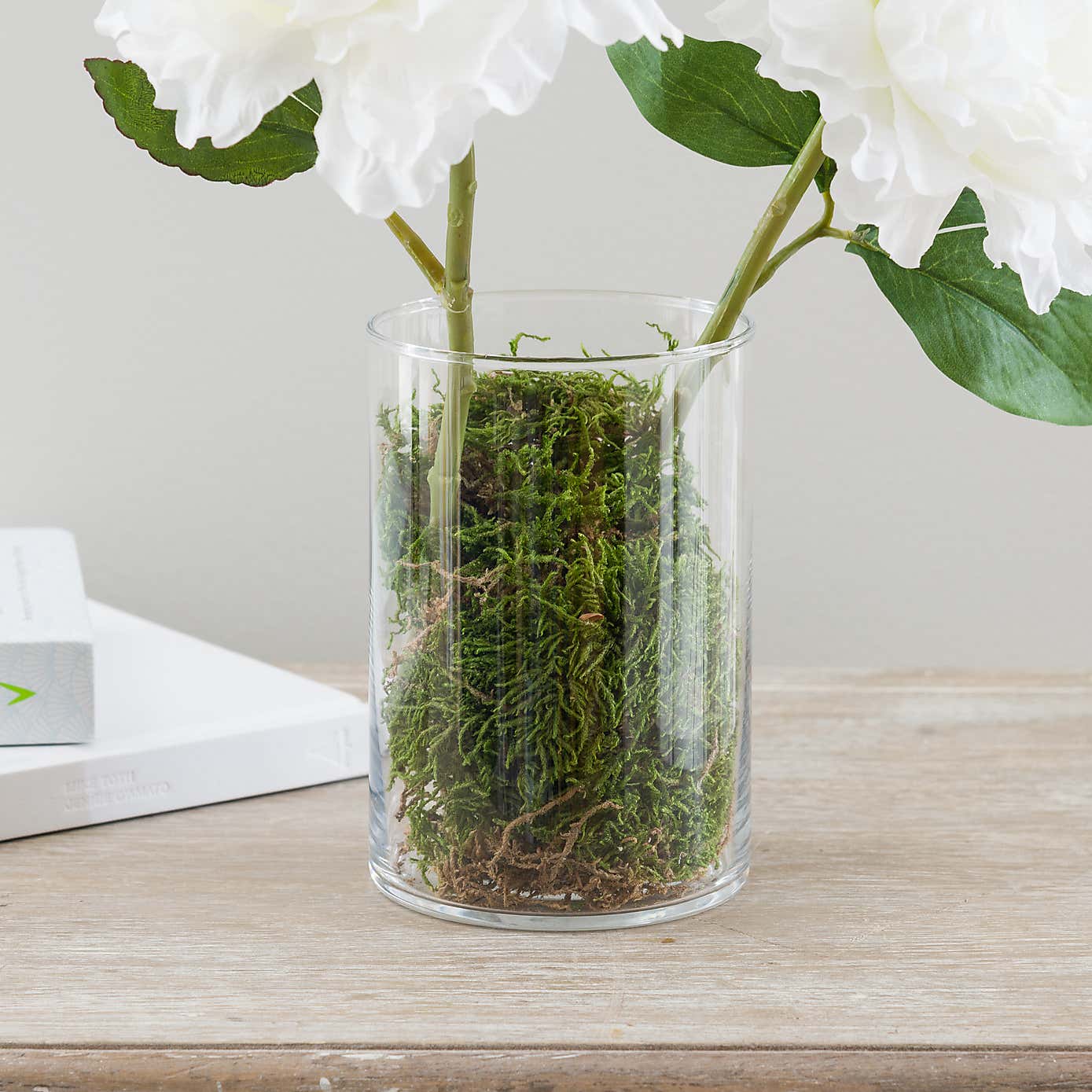 Natural Dried Moss 30g