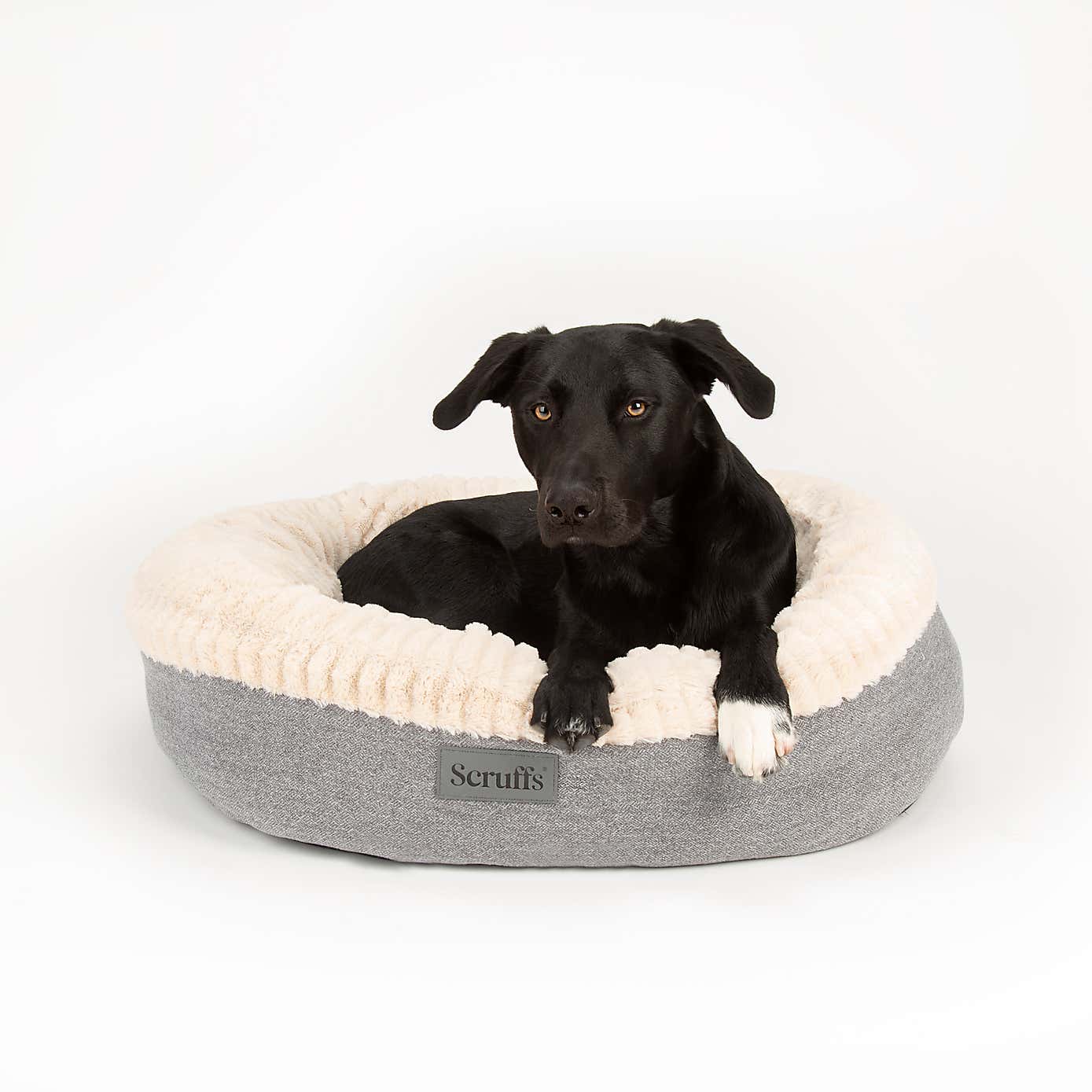 Scruffs Ellen Donut Pet Bed