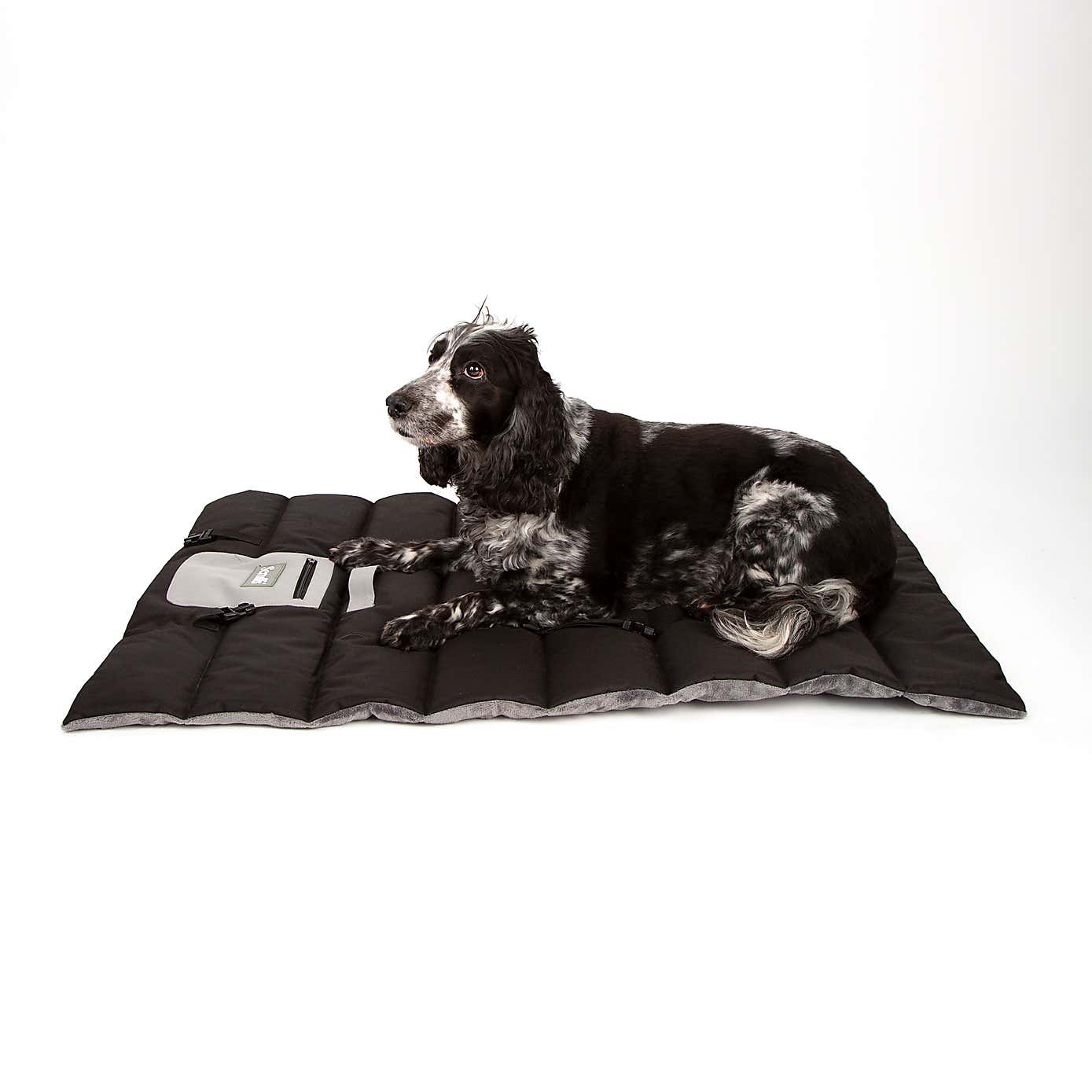 Scruffs Expedition Roll Up Travel Pet Bed