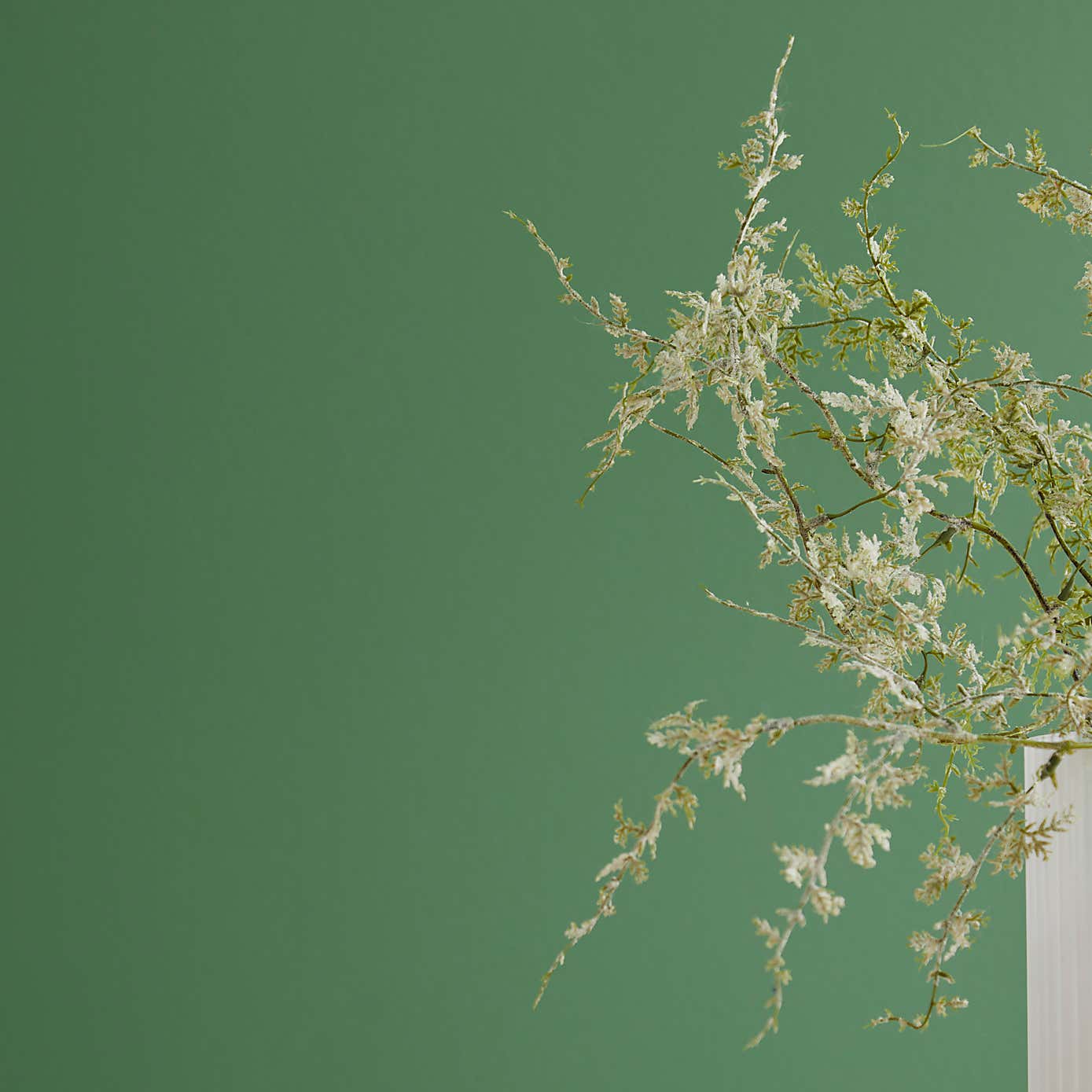 Dorma Persian Ivy Matt Emulsion Paint