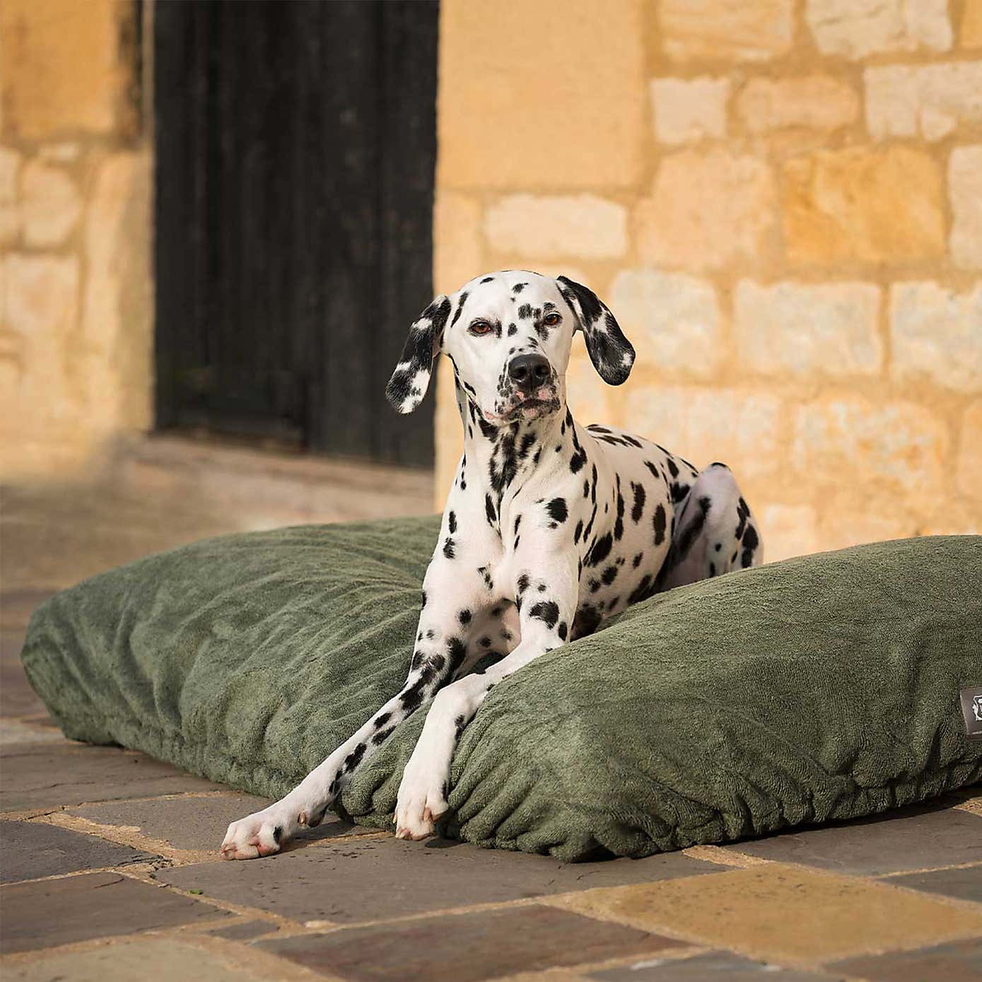Lords and Labradors Bamboo Dog Drying Cushion Cover