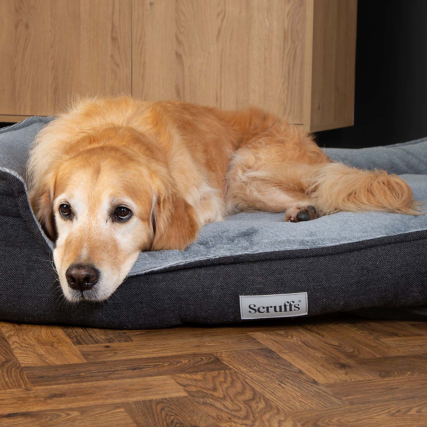 Scruffs Harvard Memory Foam Orthopaedic Box Bed