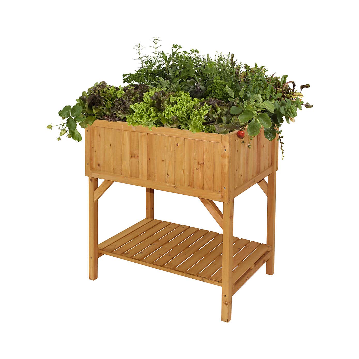 VegTrug Raised Bed Planter