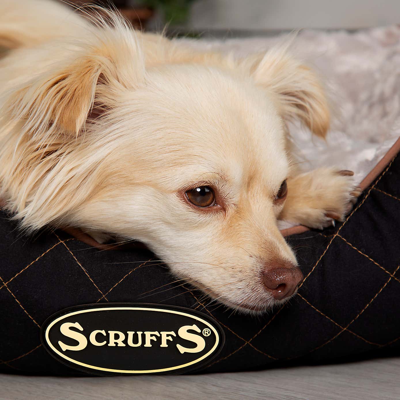 Scruffs Pet Wilton Box Bed