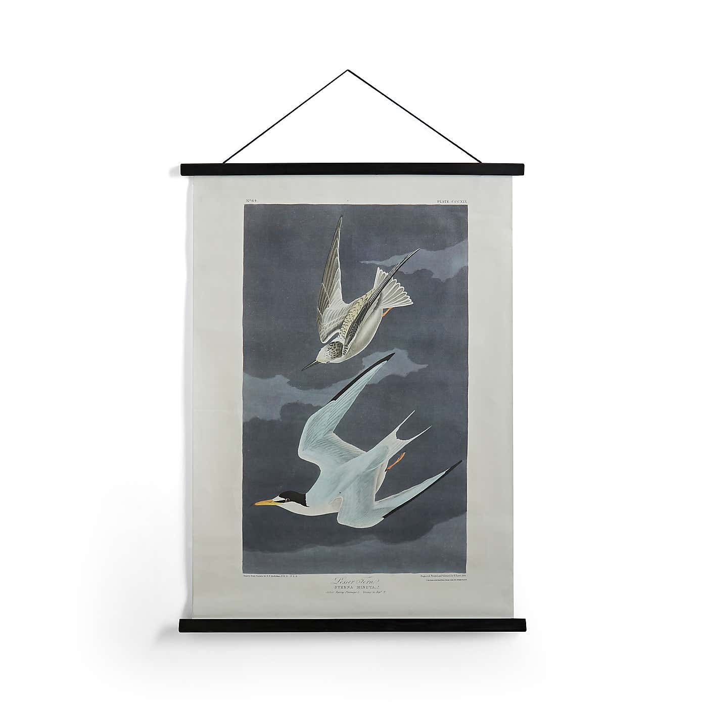 Birds Hanging Canvas 85cm x 62cm