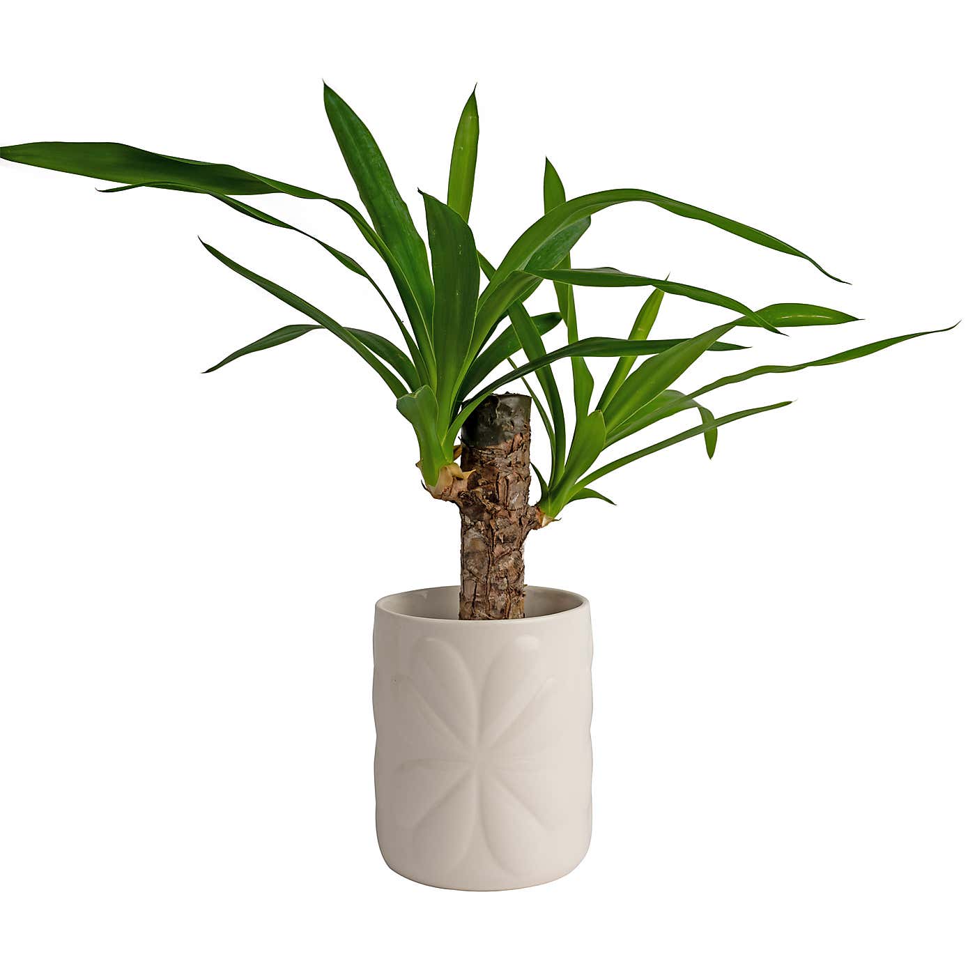 Navigate Carnaby Ceramic Embossed Pot