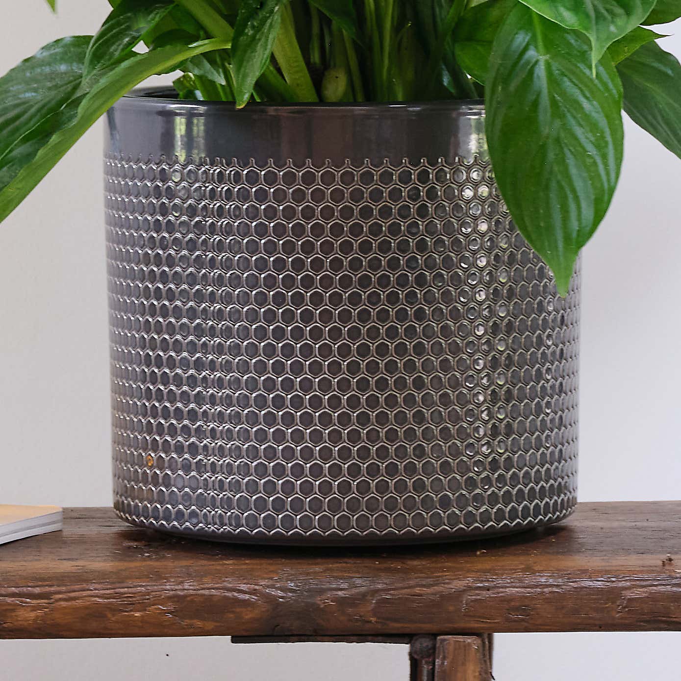 Peace Lily House Plant in Capri Pot