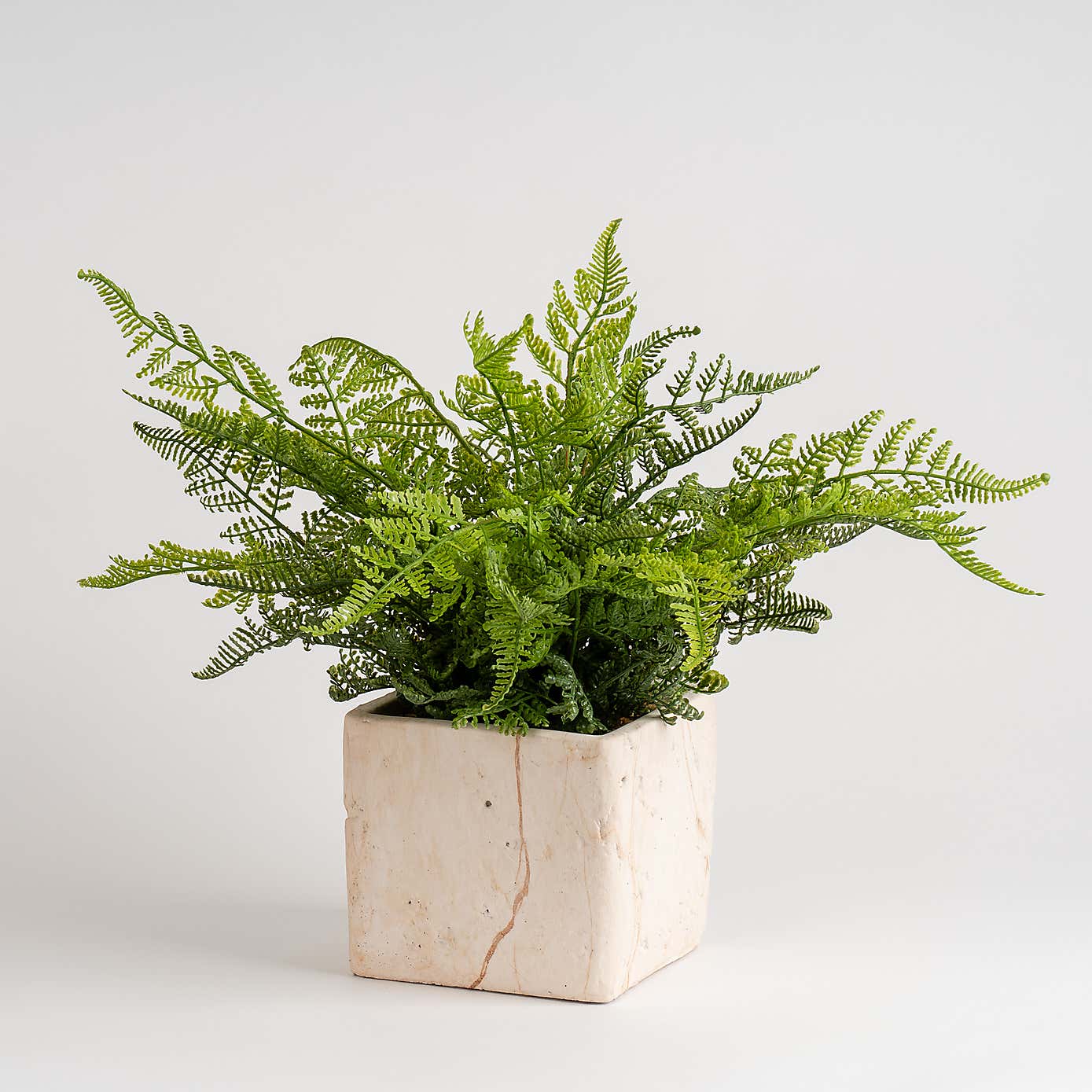 Artificial Fern in Cement Pot