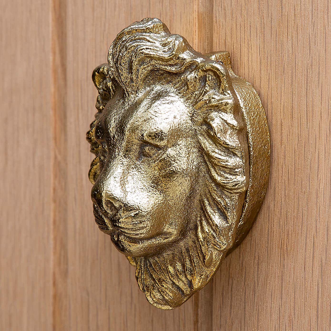 Lion Door Knocker
