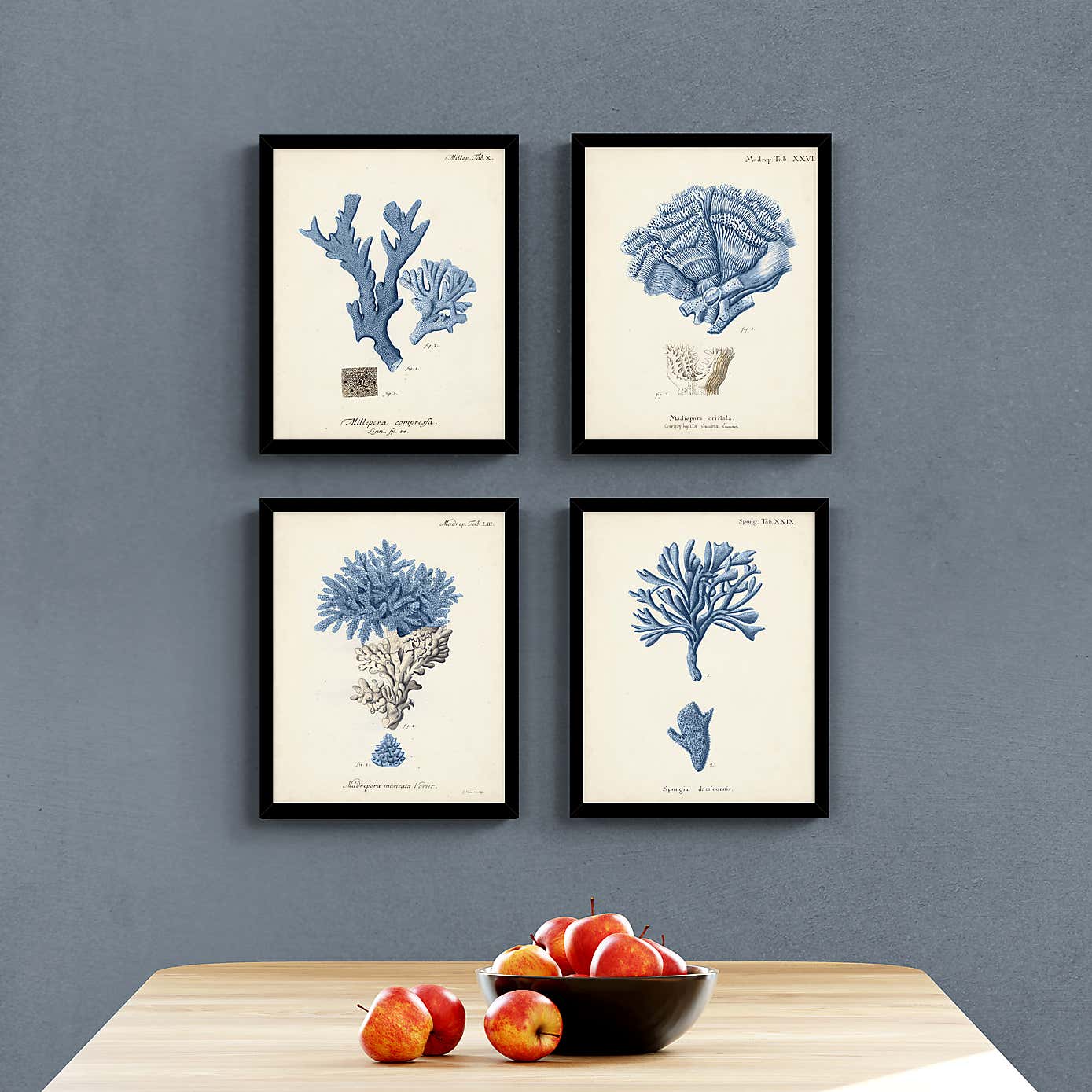 Set of 4 Antique Coral Framed Prints