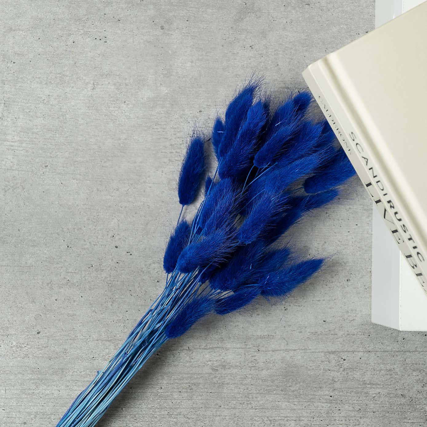 Dried Bunny Tails Bouquet