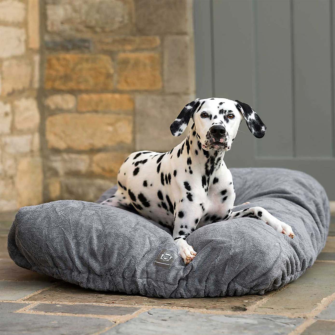 Lords and Labradors Bamboo Dog Drying Cushion Cover