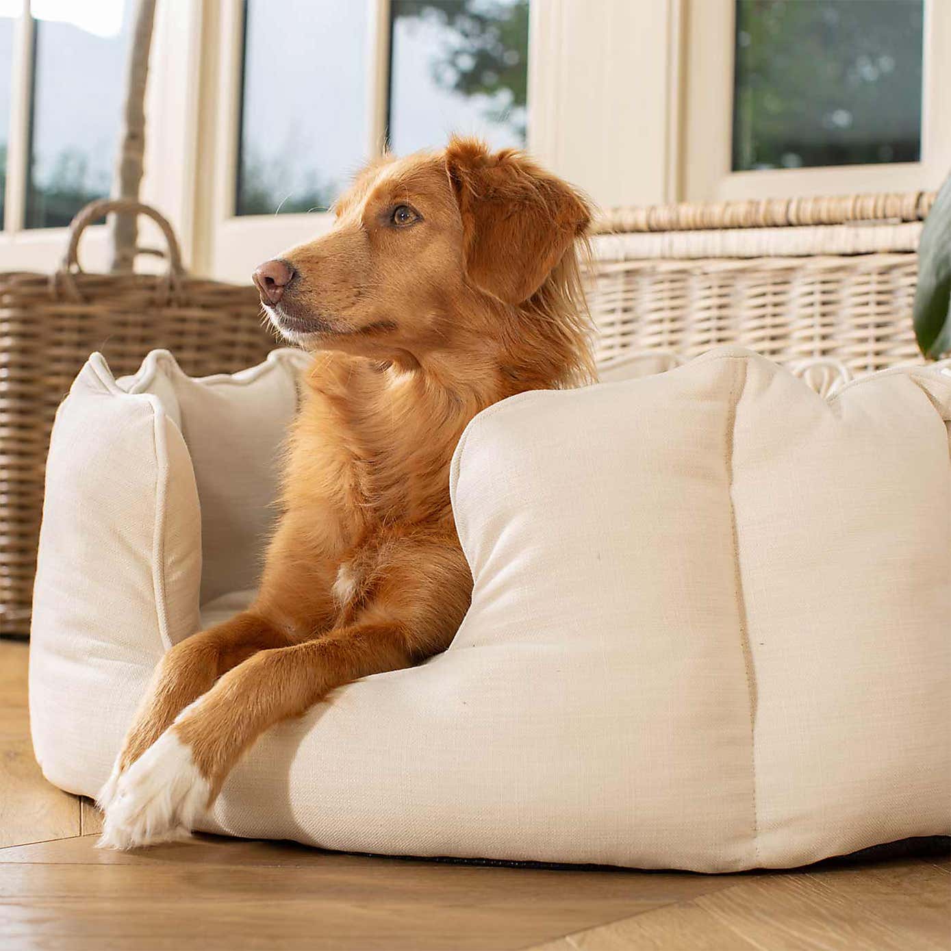 Lords and Labradors Savanna High Wall Dog Bed