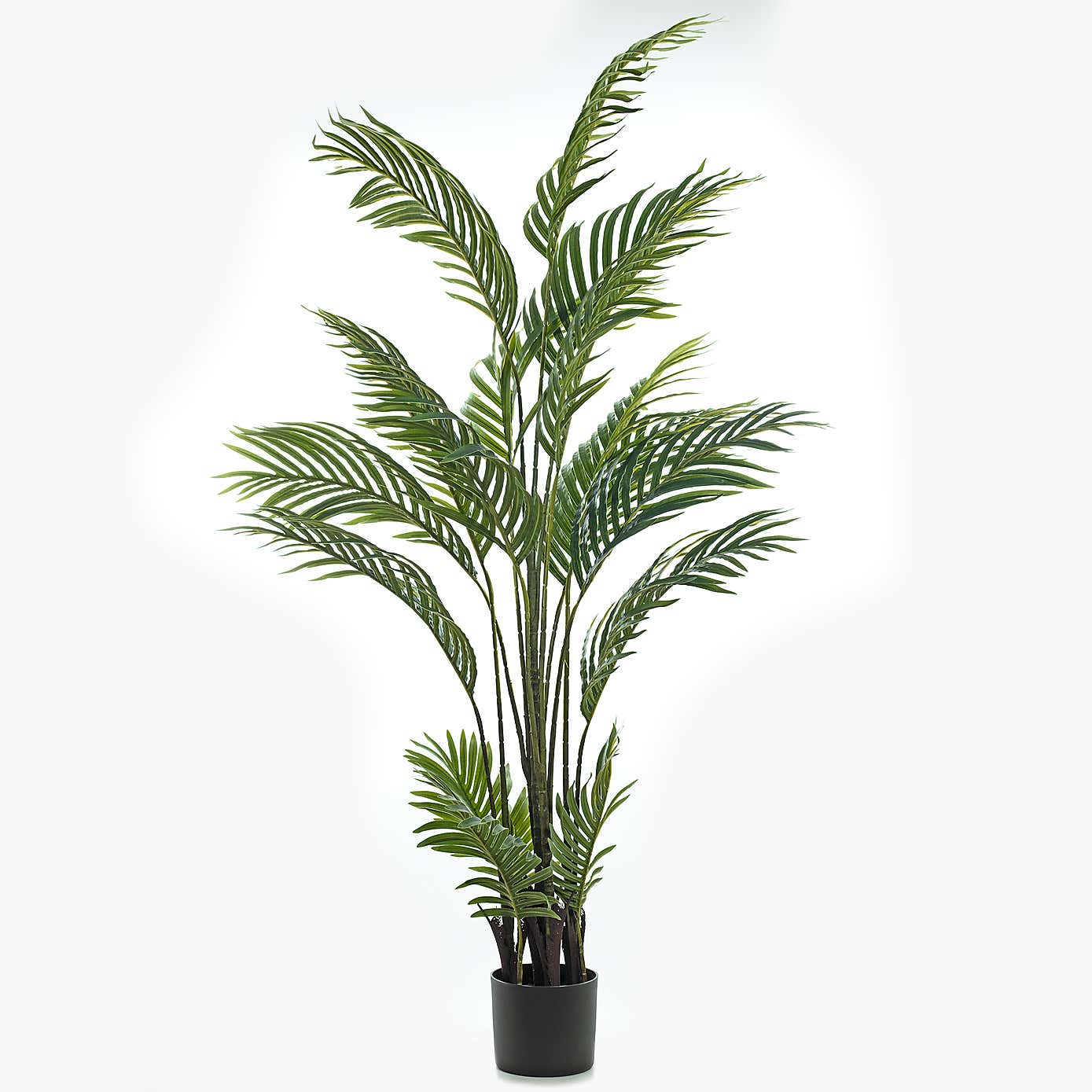 Artificial Real Touch Pearl Palm Tree in Black Plastic Plant Pot