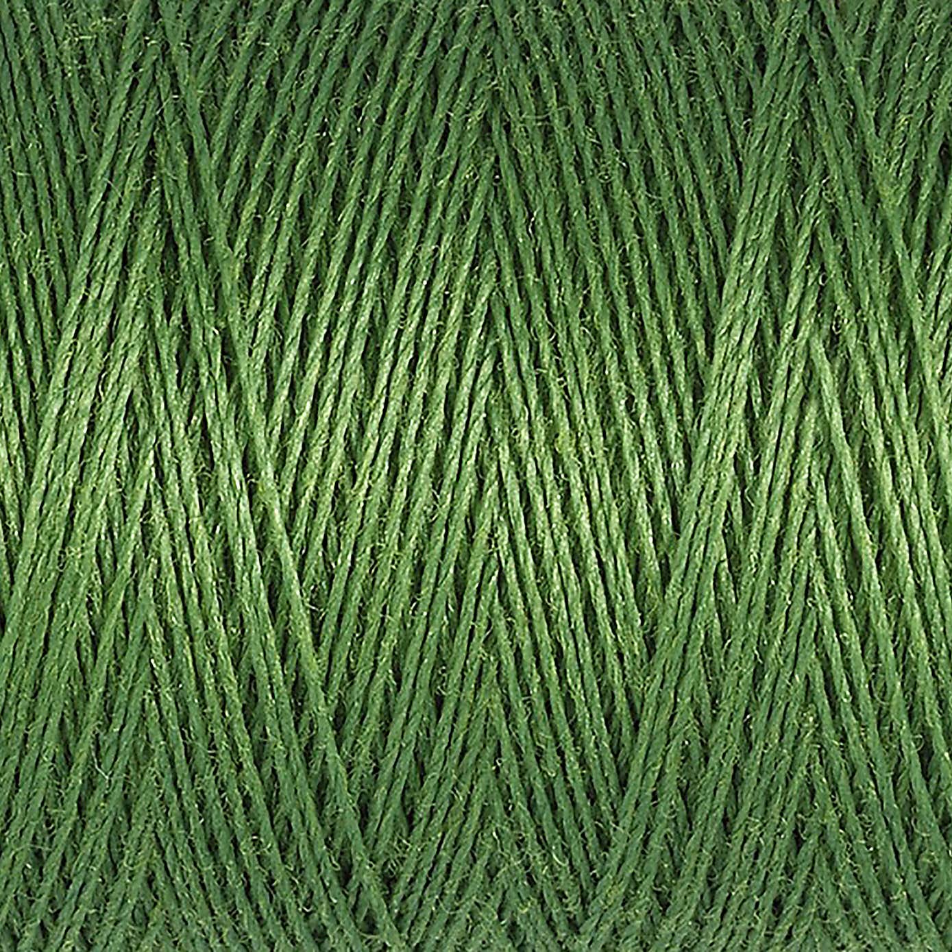 Gutermann Sew All Thread 100m Apple Green (919)