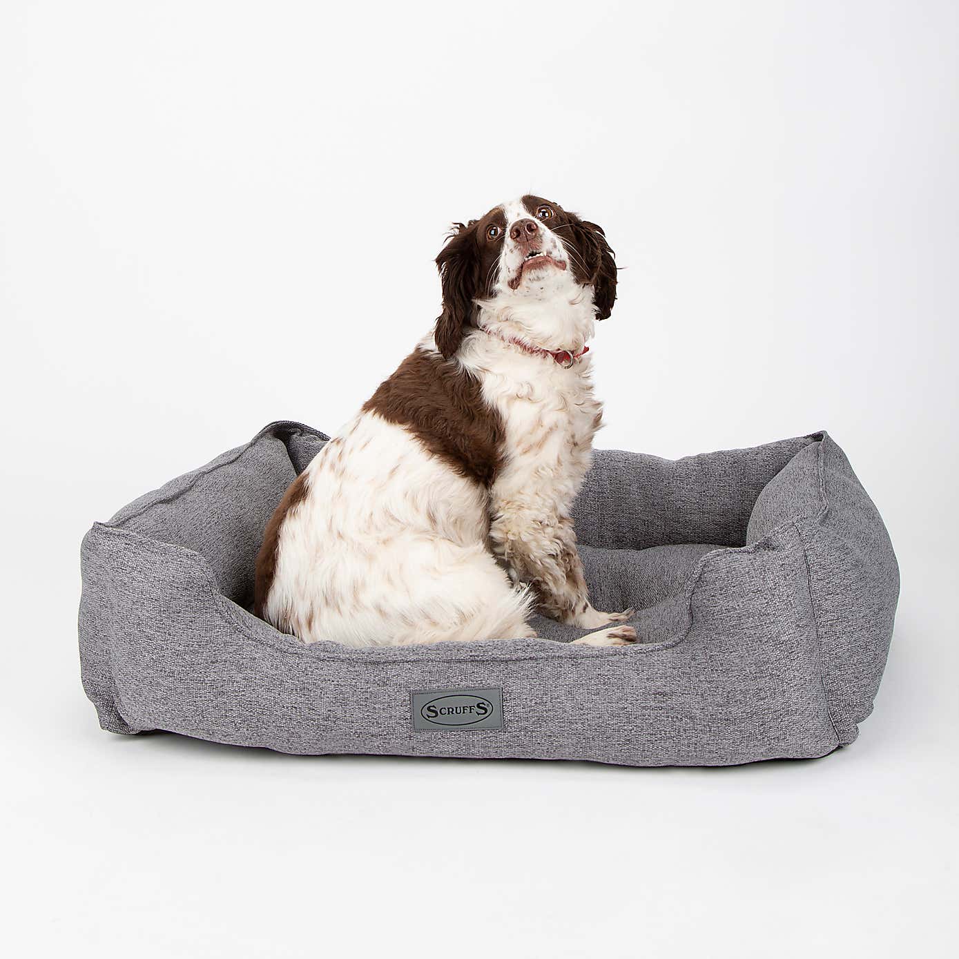 Scruffs Pet Manhattan Box Bed