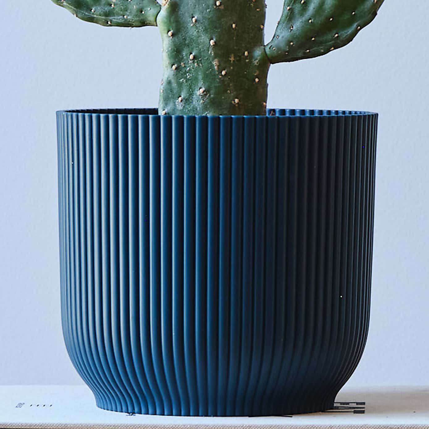 Cowboy Cactus House Plant in Elho Pot