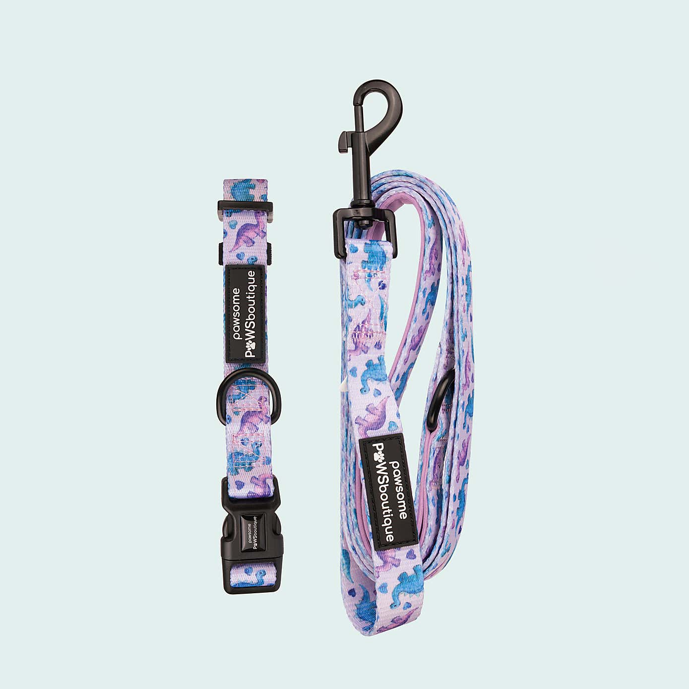 Tiny Diny Dog Collar and Lead Set