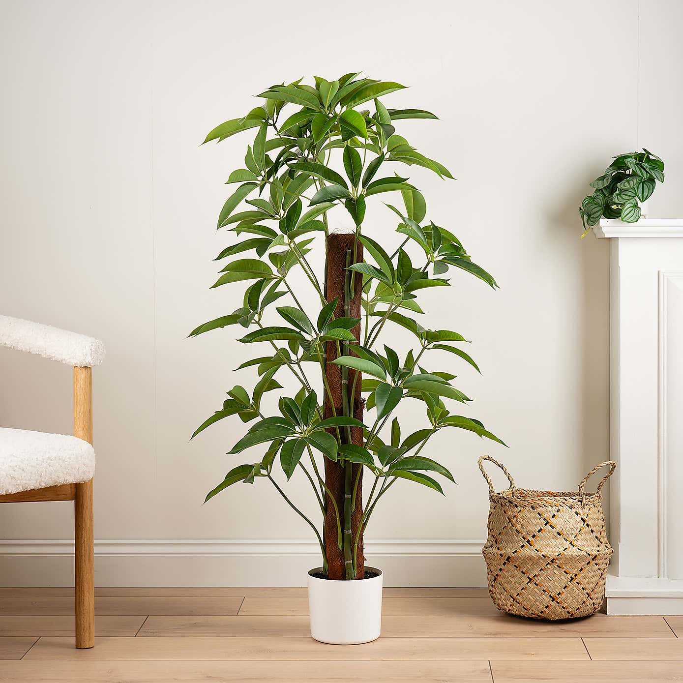 Artificial Climbing Umbrella Plant in White Plant Pot
