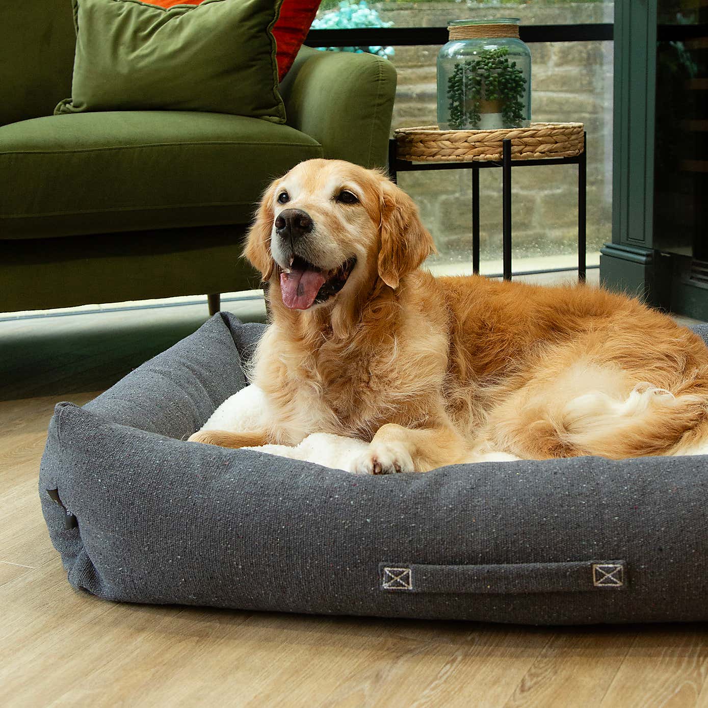 Scruffs 100% Recycled Eden Dog Box Bed
