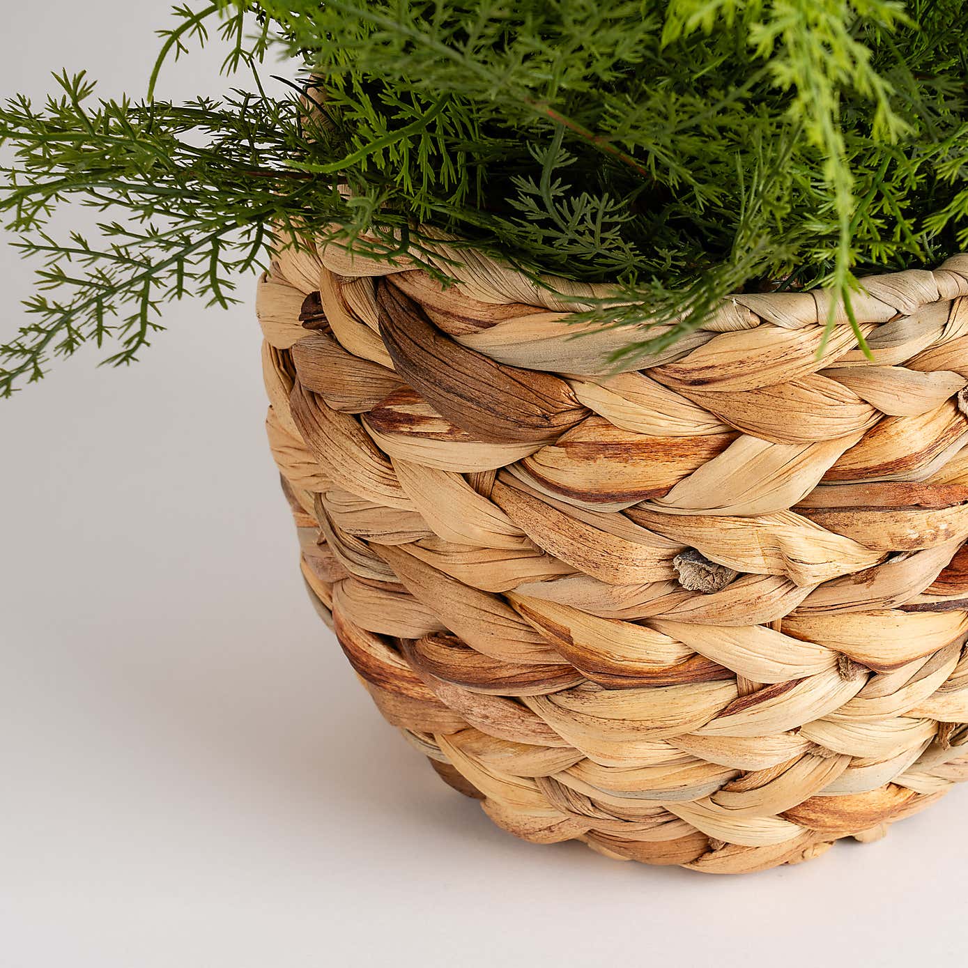 Artificial Fern in Basket