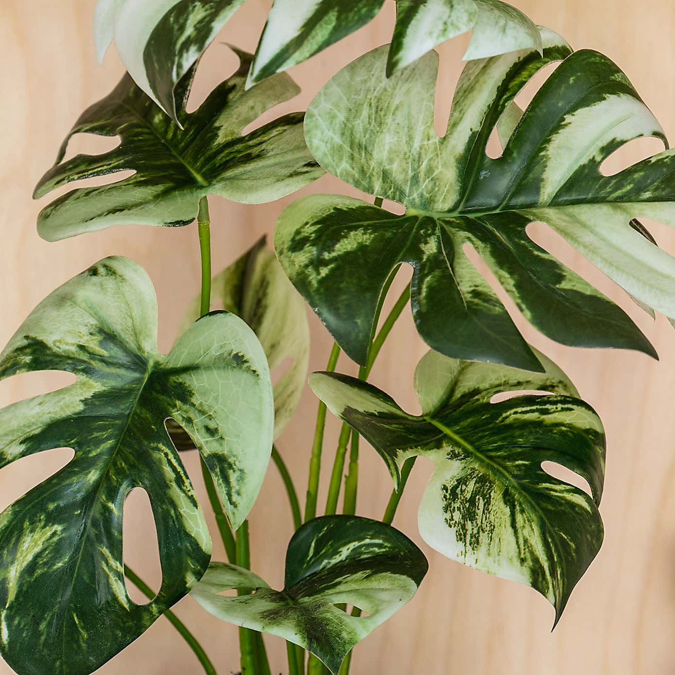 Artificial Variegated Monstera