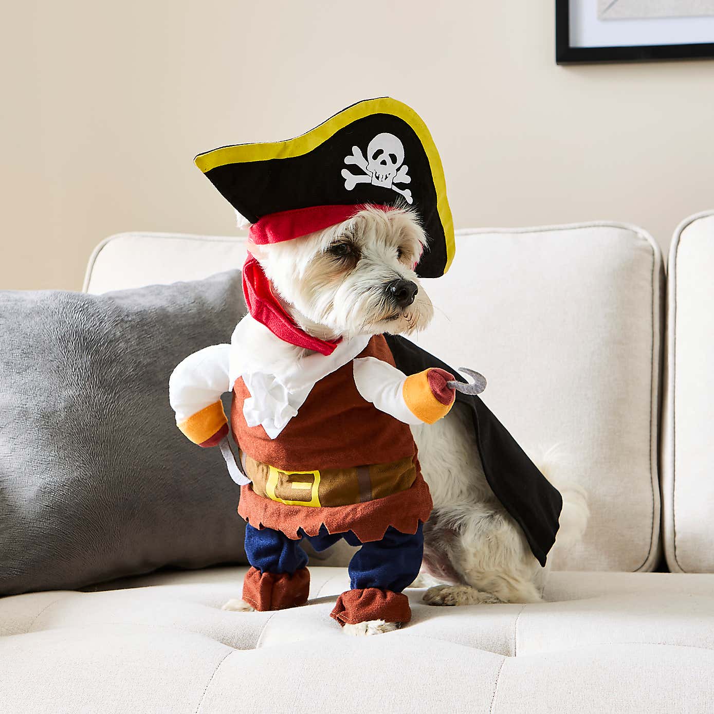 Dog Pirate Costume