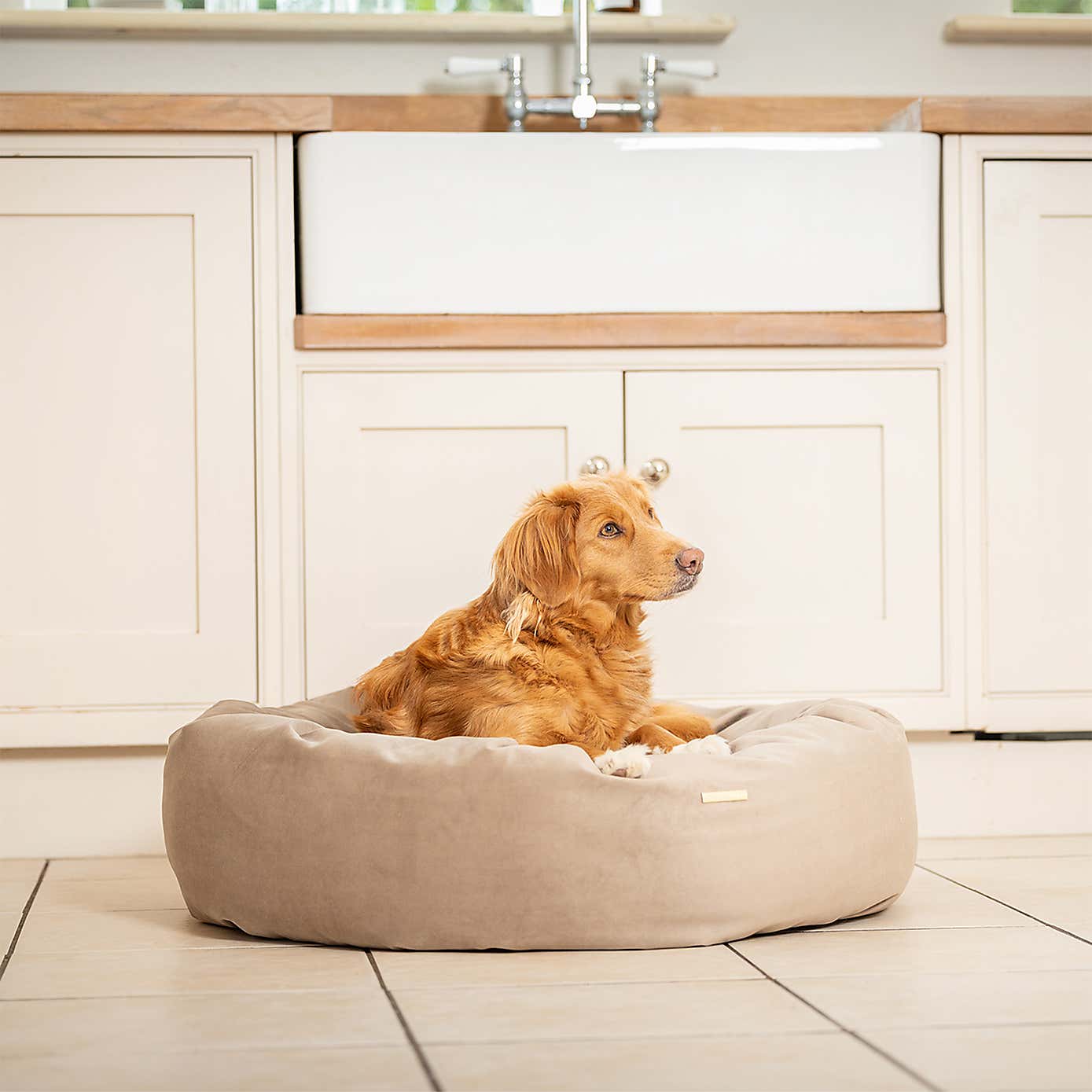 Lords and Labradors Velvet Donut Dog Bed