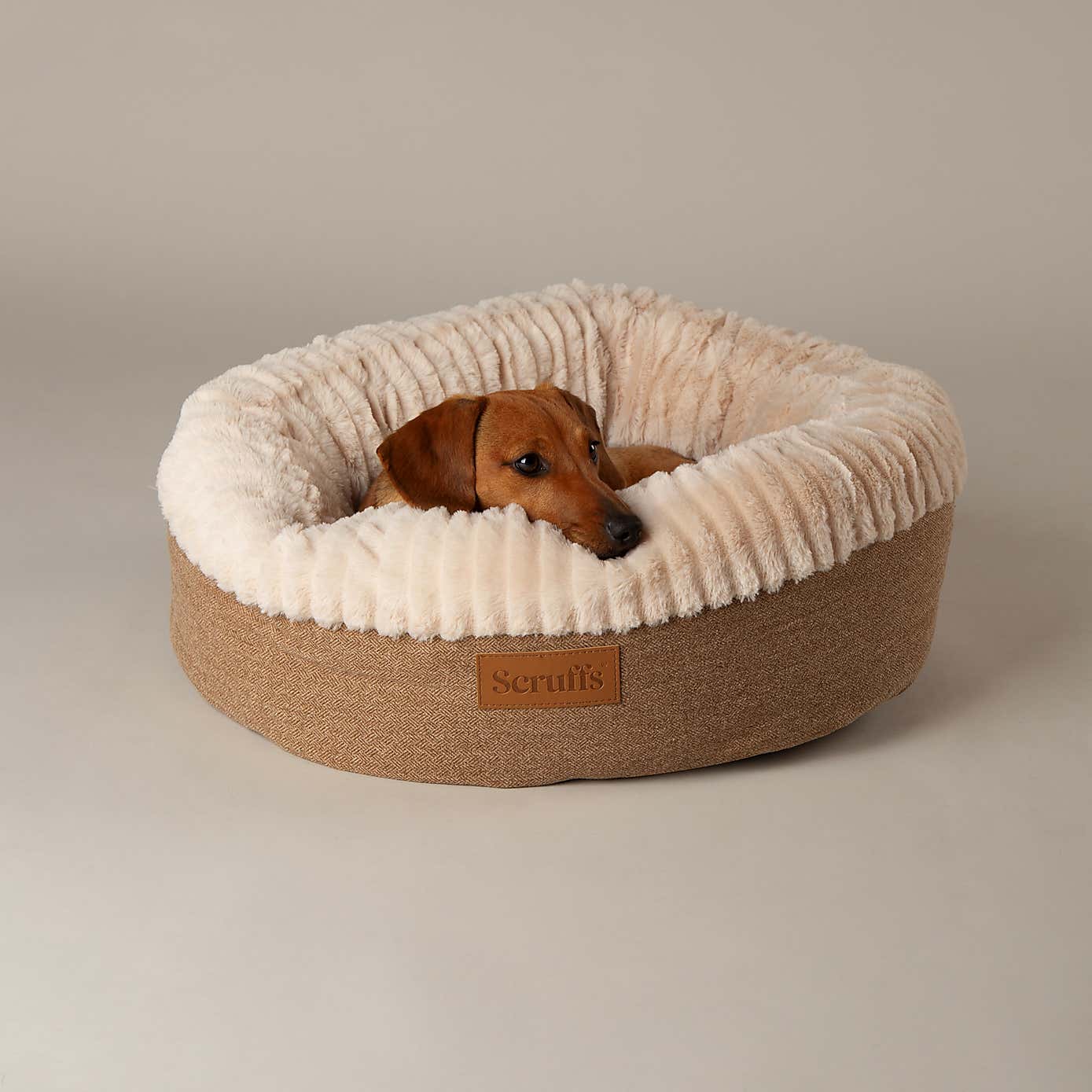 Scruffs Ellen Donut Dog Bed