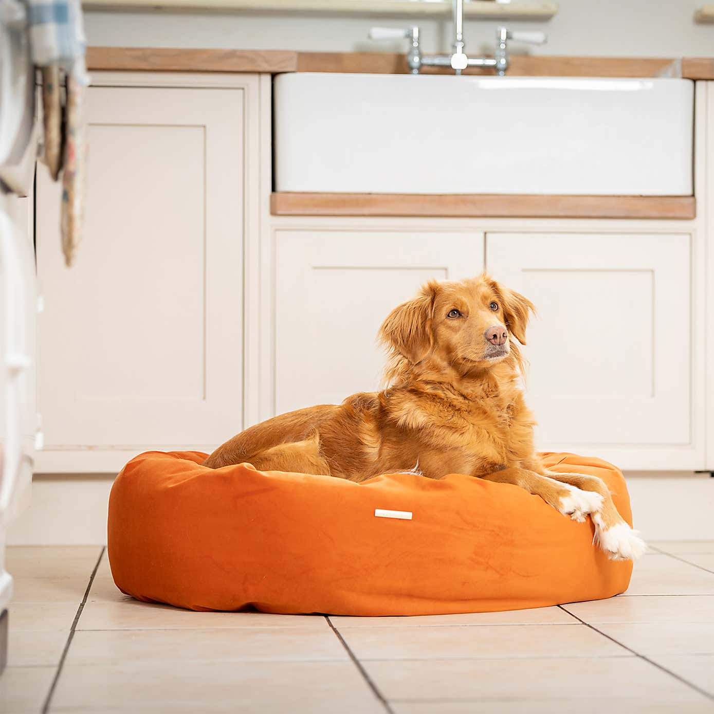 Lords and Labradors Velvet Donut Dog Bed