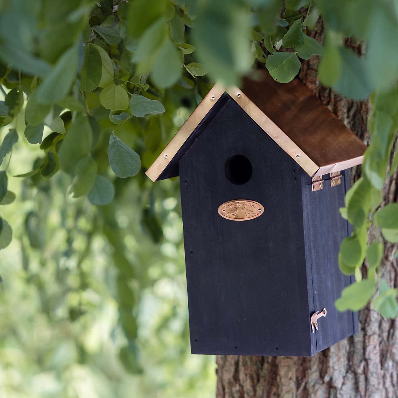 Fallen Fruits Black Copper Blue Tit Bird House