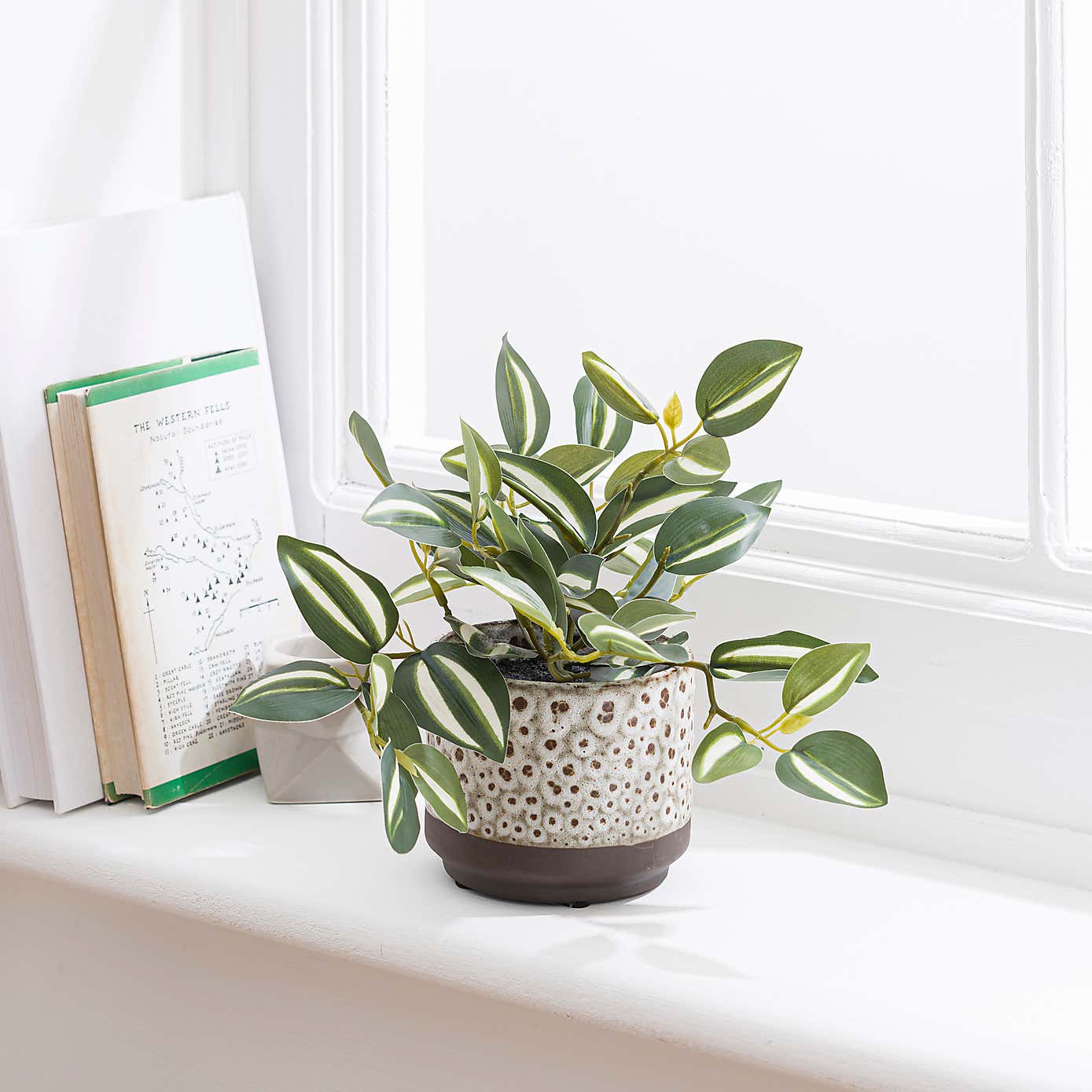 Artificial Tradescantia Plant in Speckled Ceramic Plant Pot