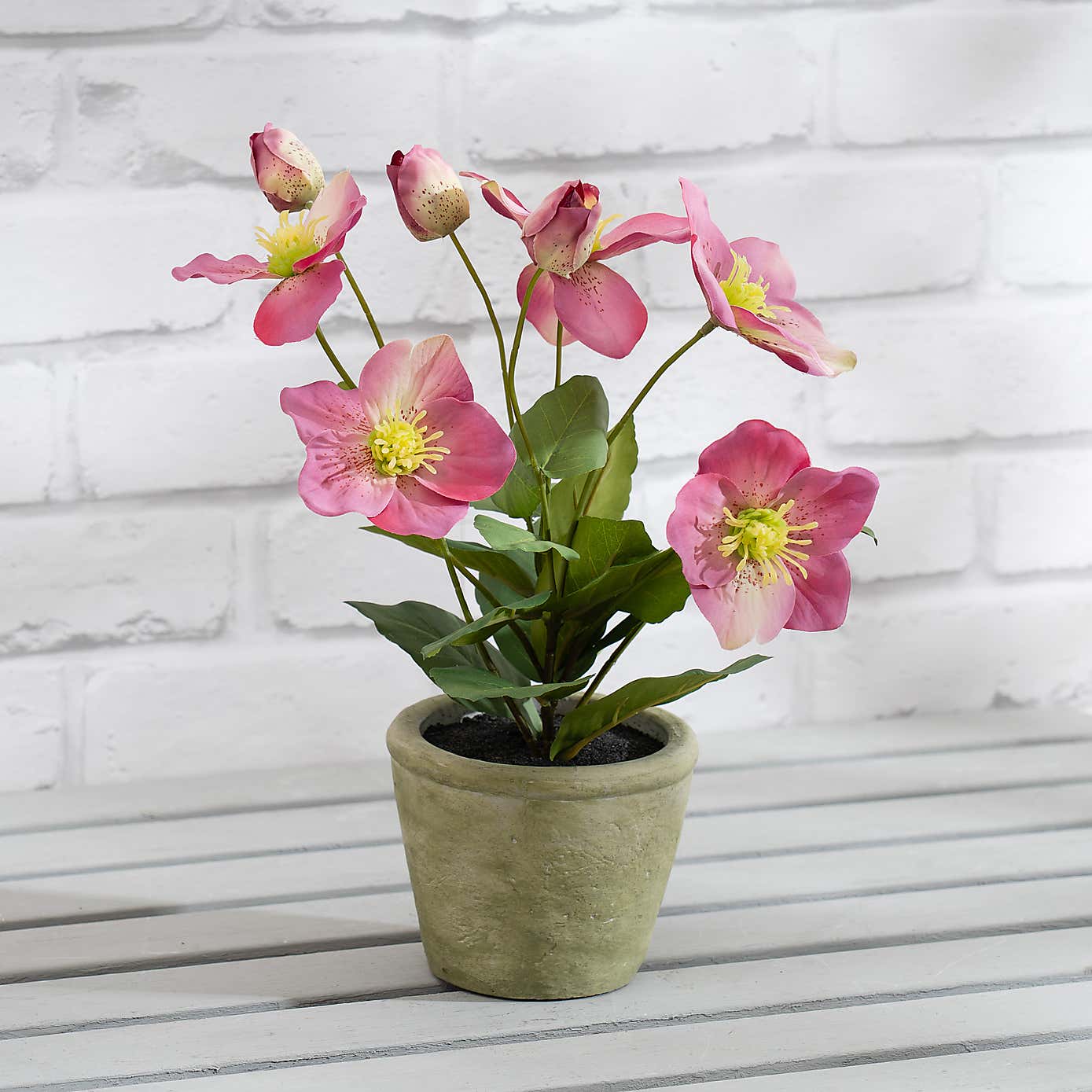 Artificial Hellebore in Terracotta Plant Pot