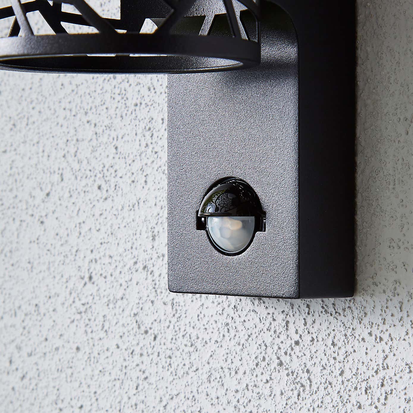 Pandora Black Outdoor Wall Light