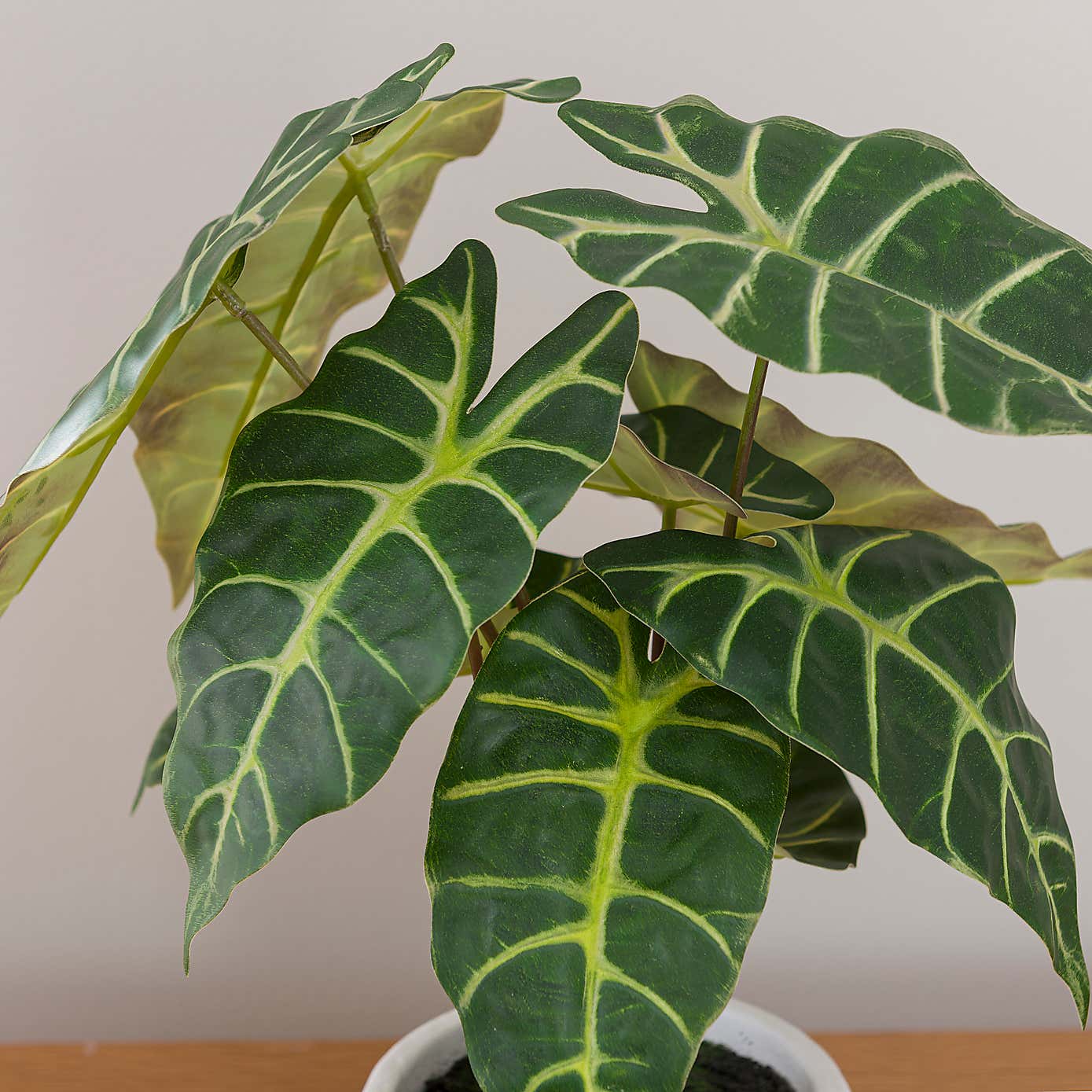 Artificial Alocasia Plant in White Cement Plant Pot