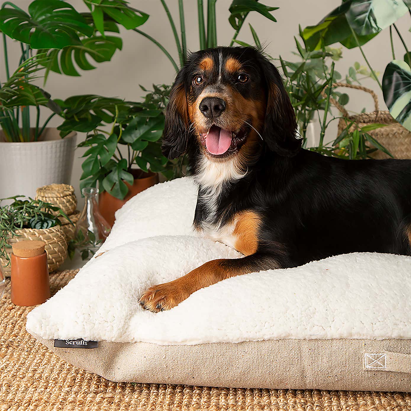 Scruffs 100% Recycled Eden Dog Pillow