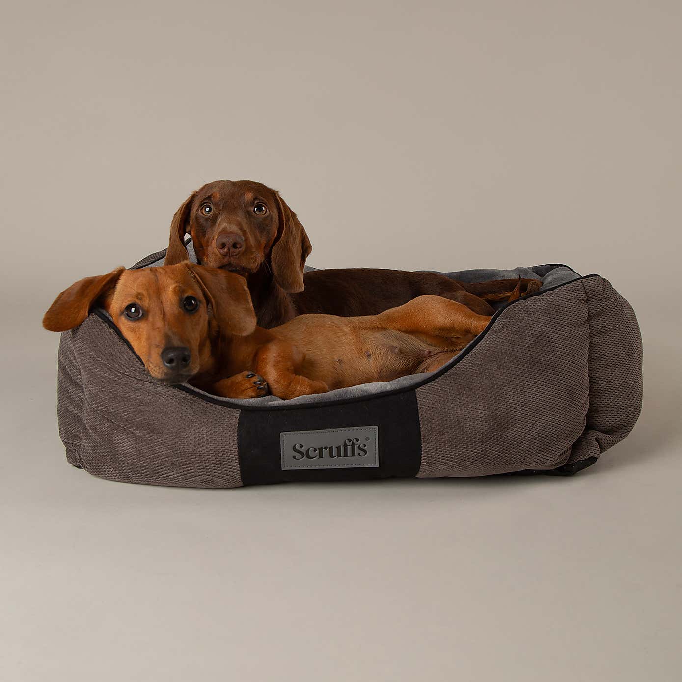 Scruffs Pet Chester Box Bed