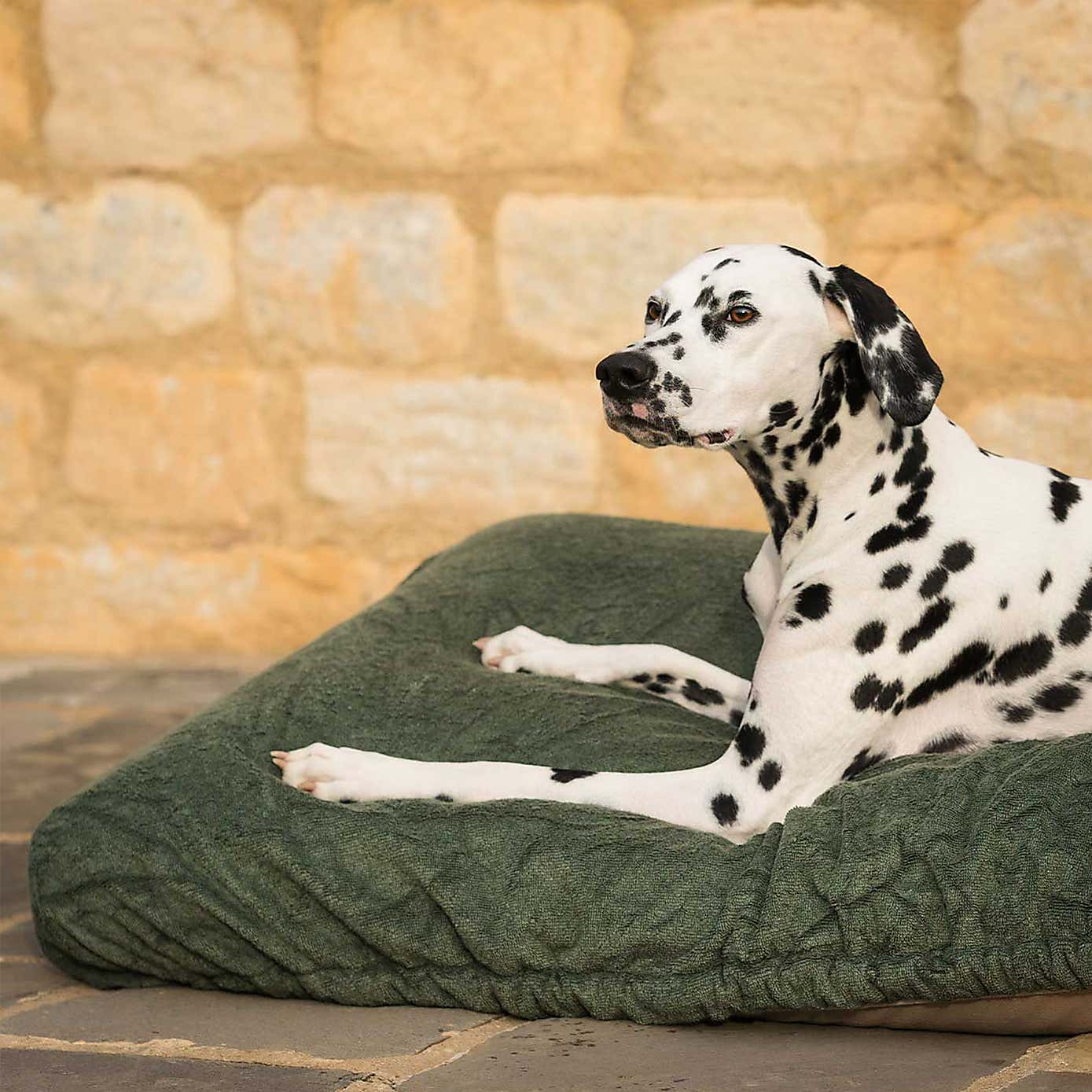 Lords and Labradors Bamboo Dog Drying Cushion Cover