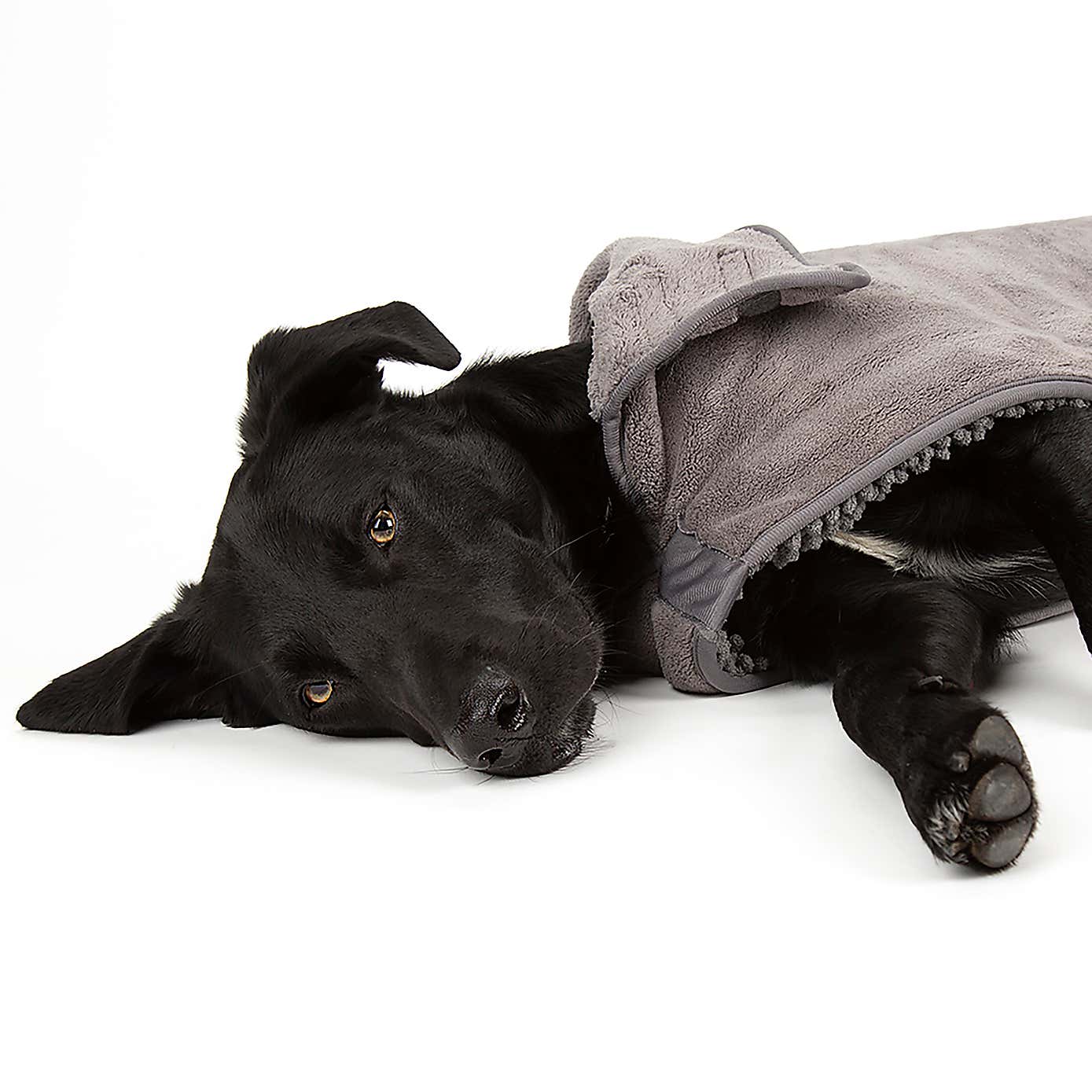 Scruffs Expedition Dog Drying Robe